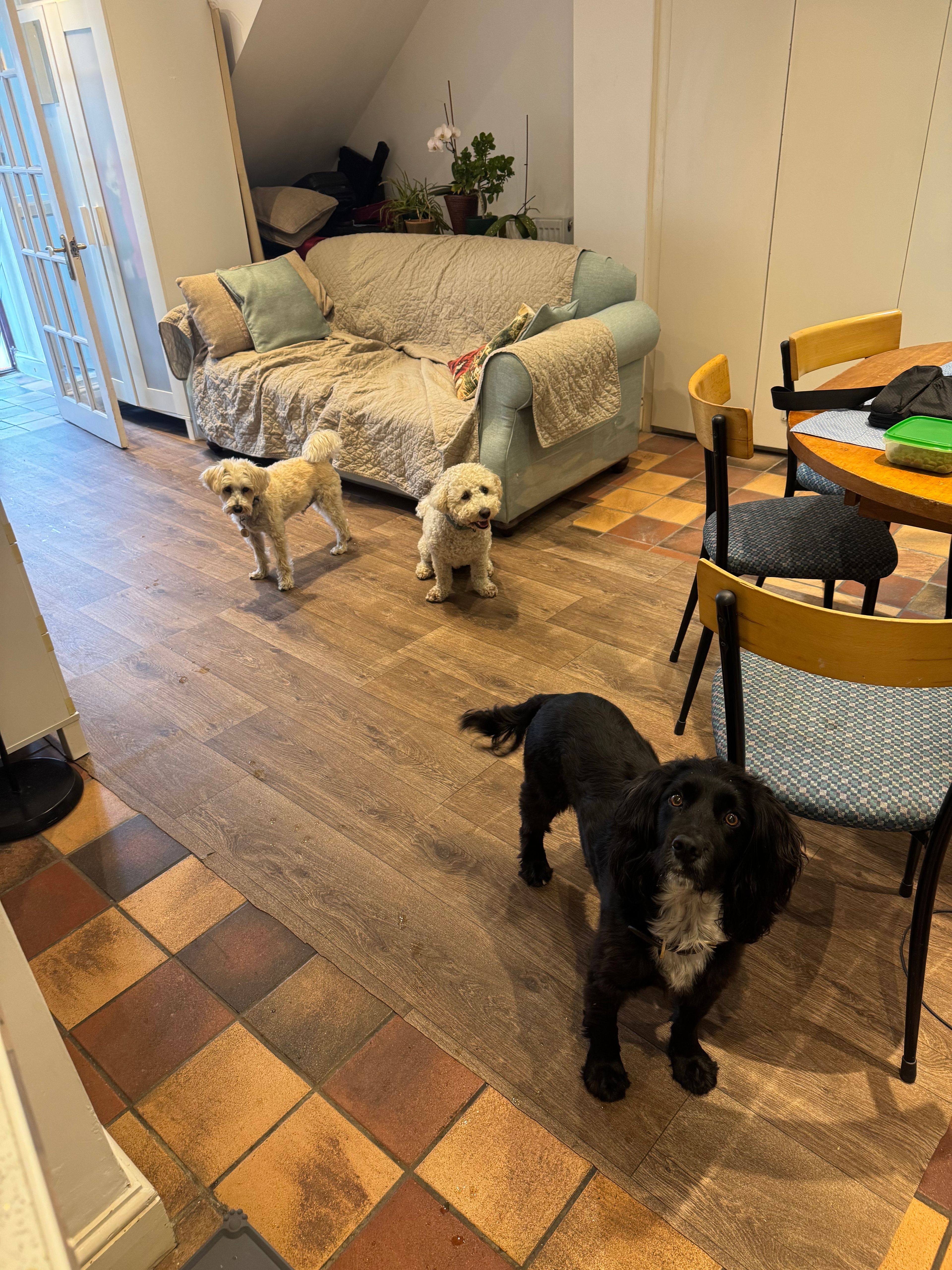 image-20
