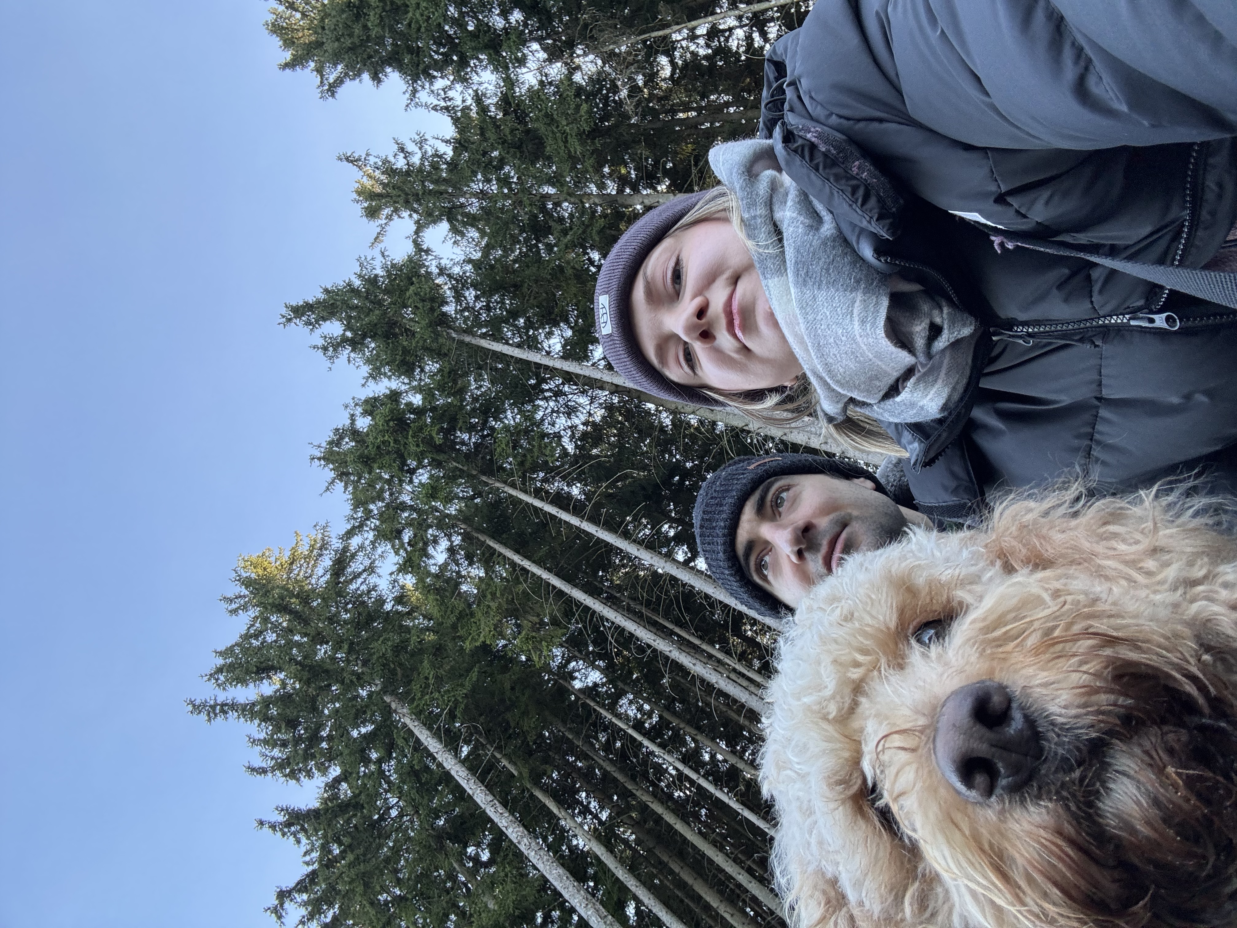 image-11
