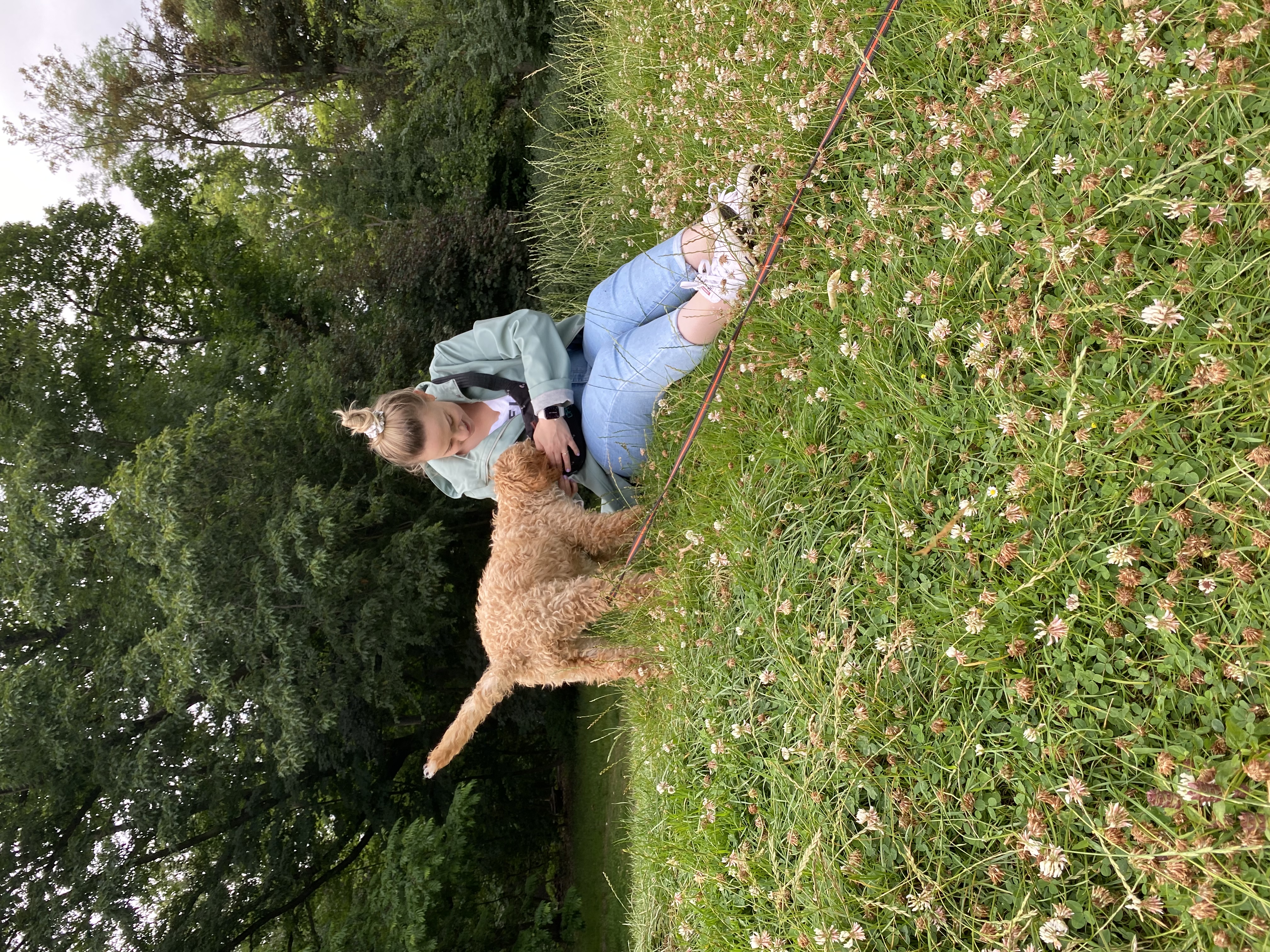 image-7