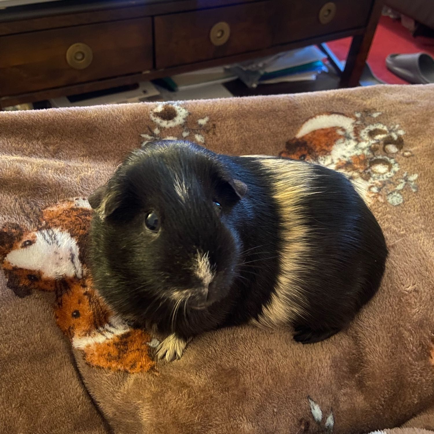 Reggie