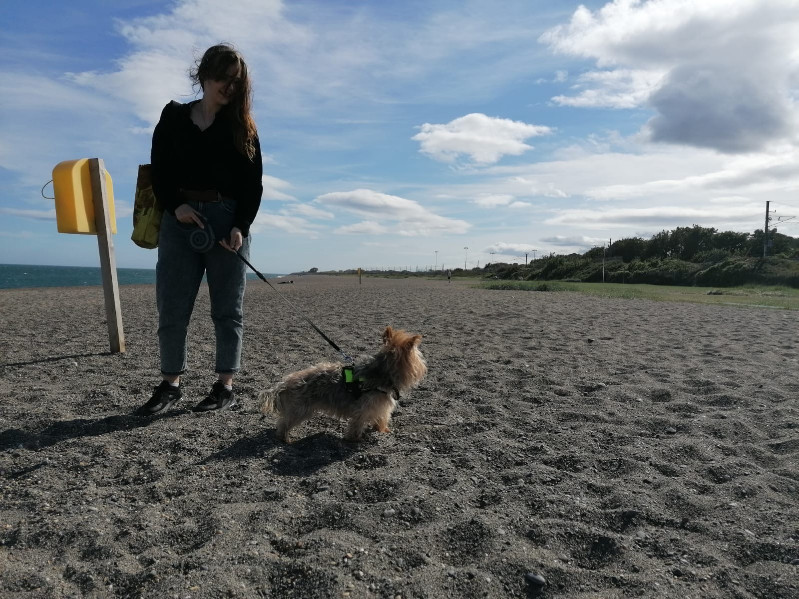image-7