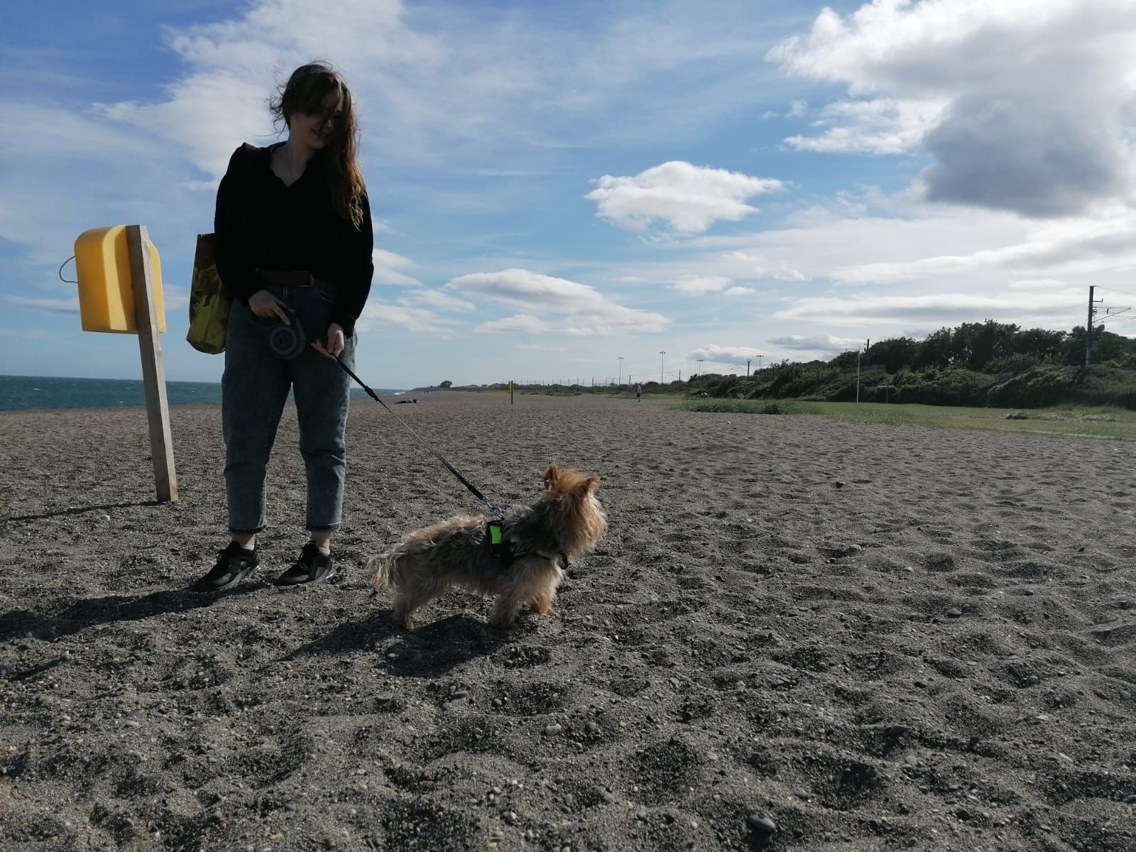 image-7