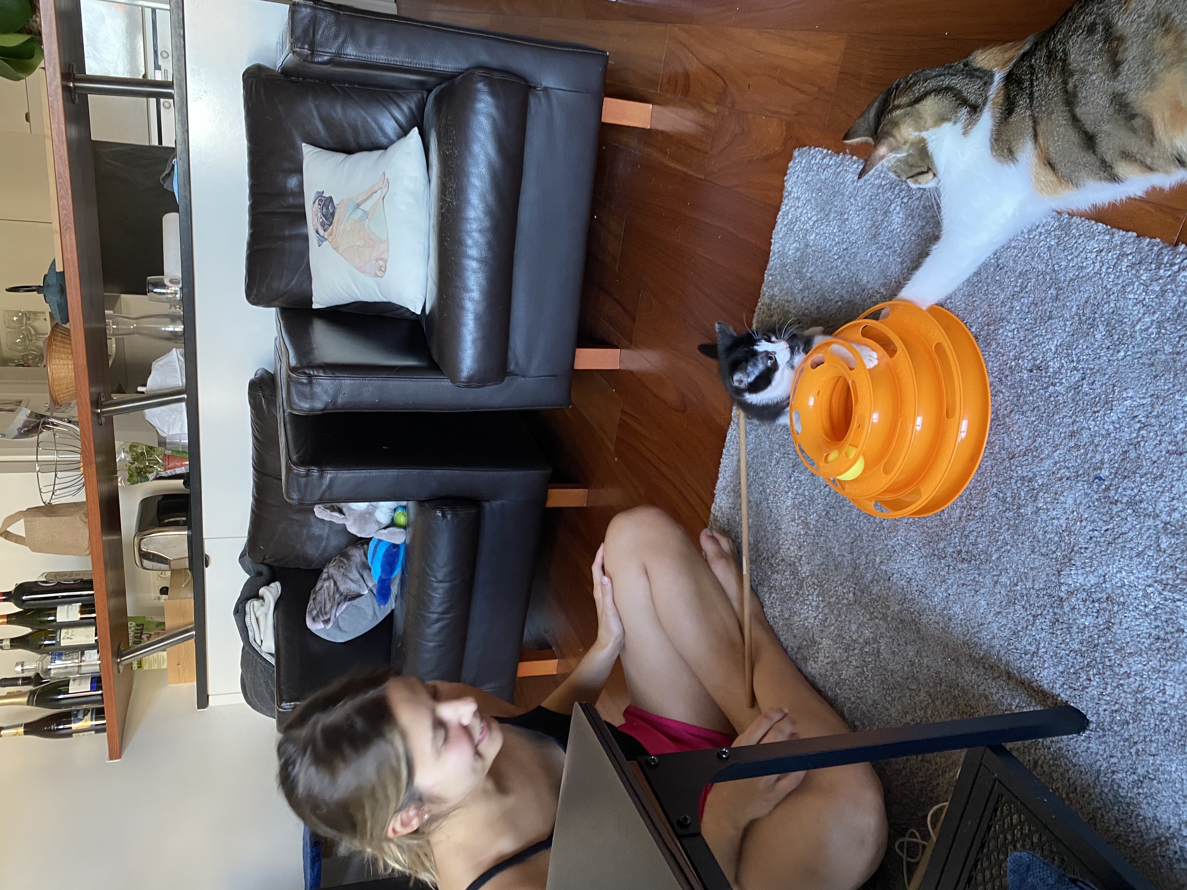 image-7