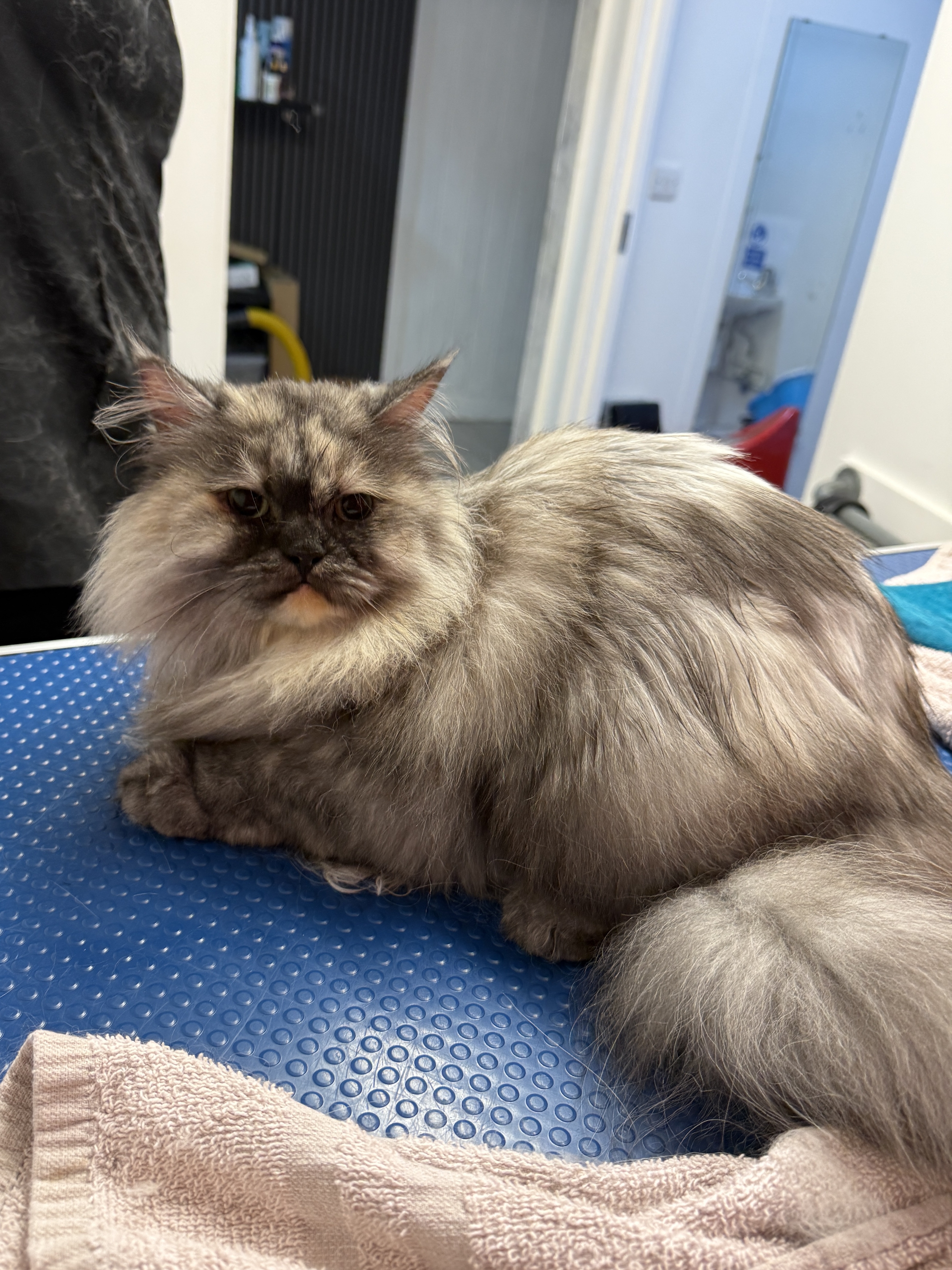 image-6