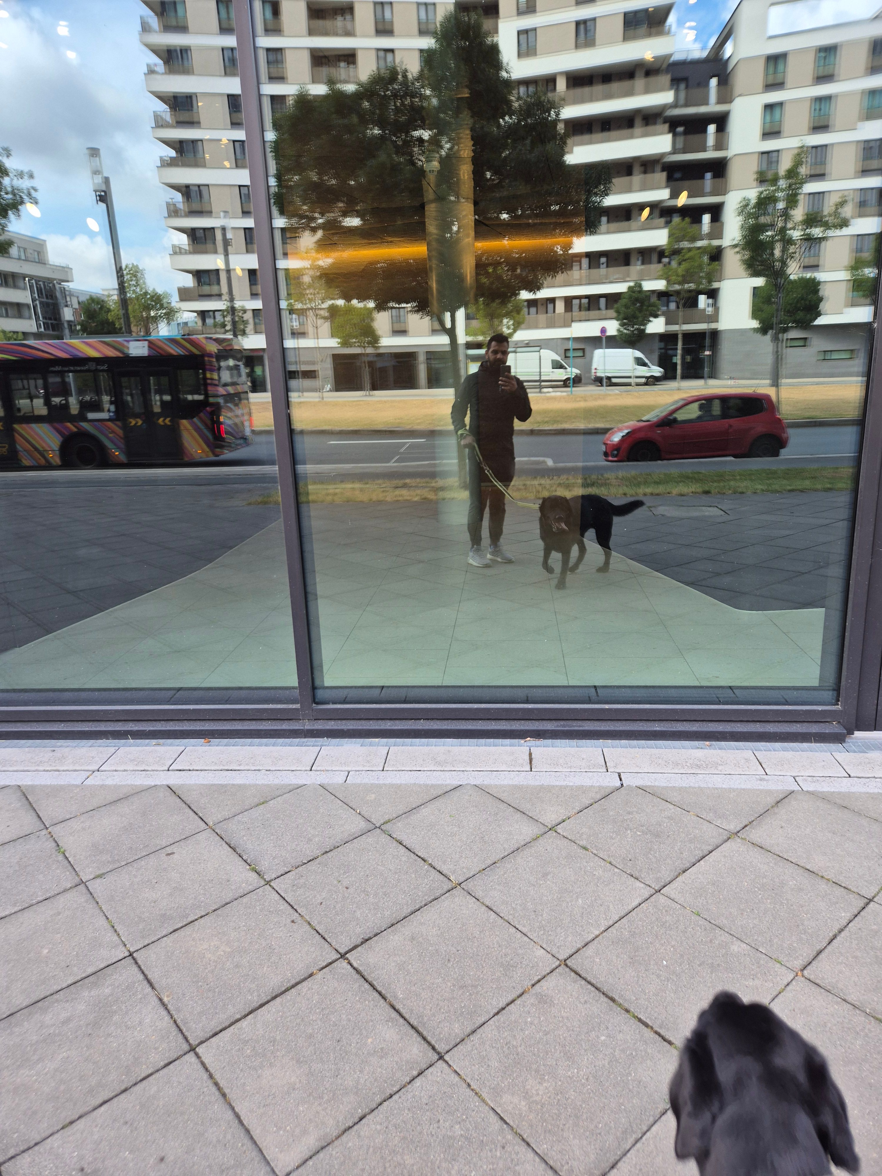 image-19