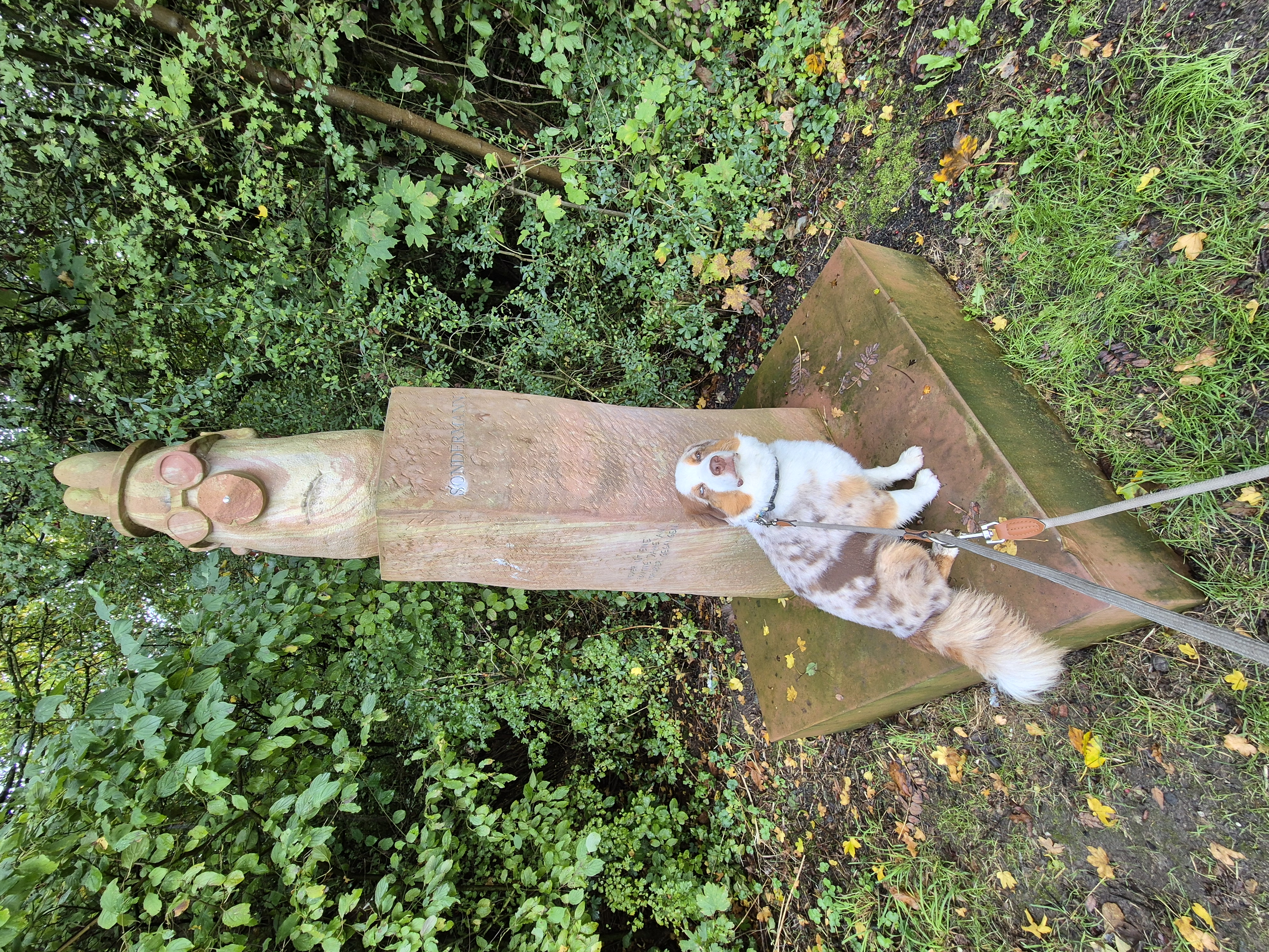 image-14
