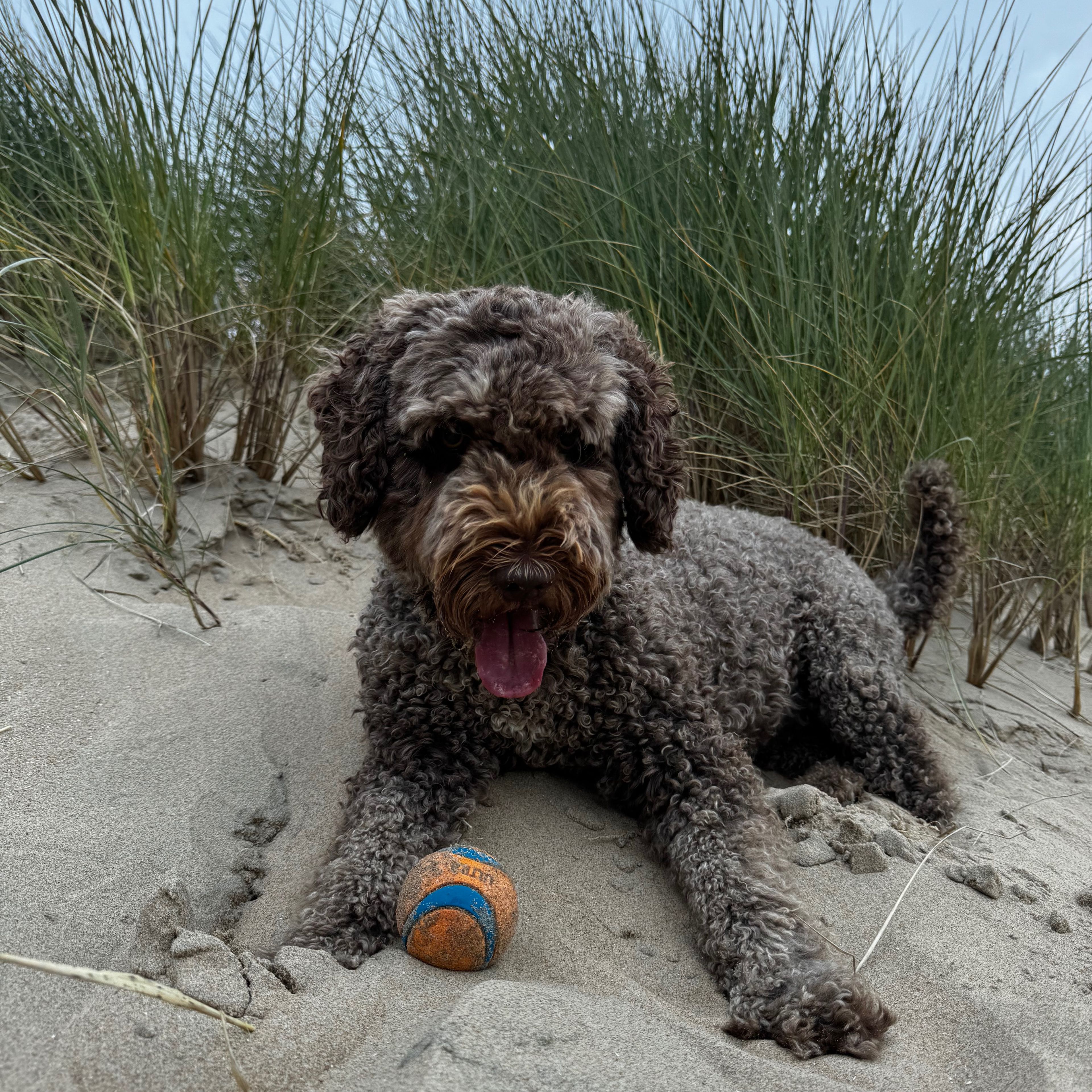 Tilly