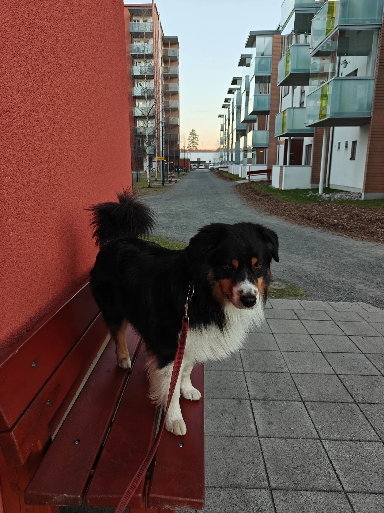 image-13