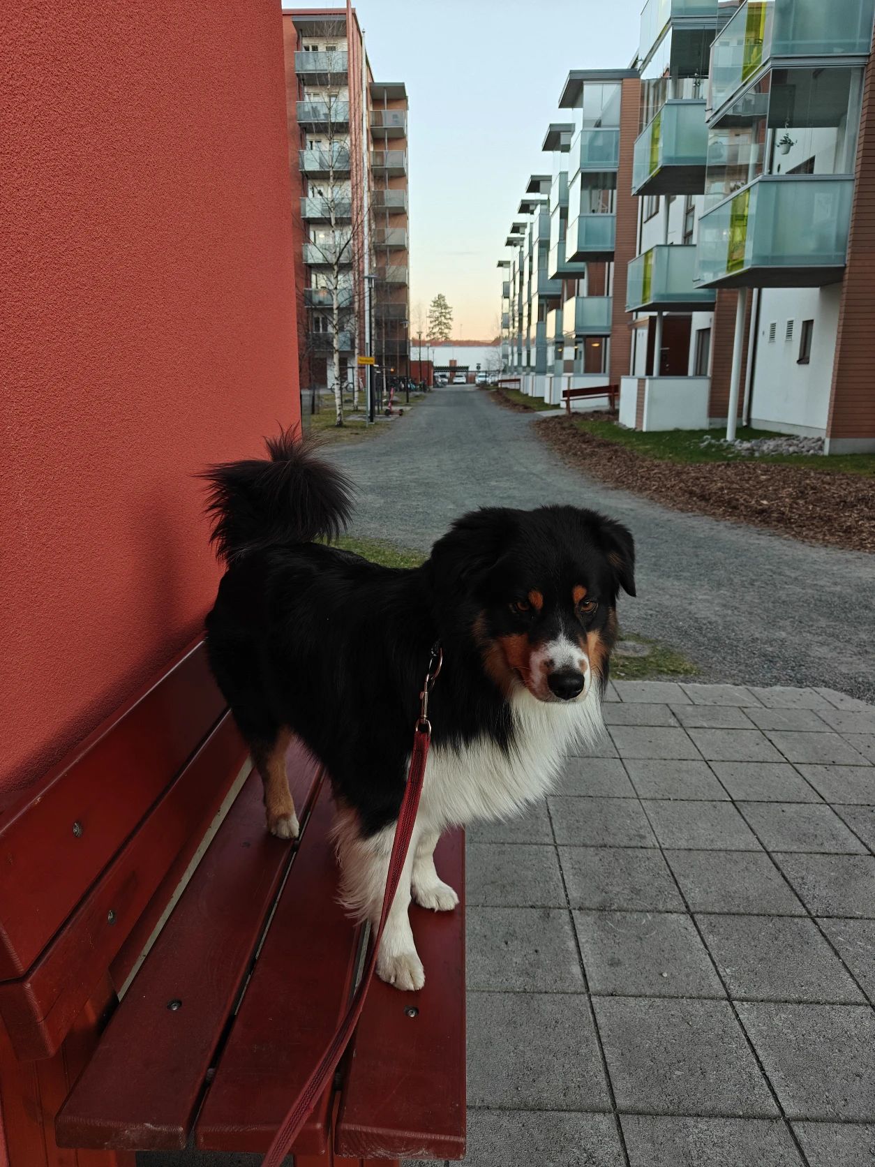 image-13