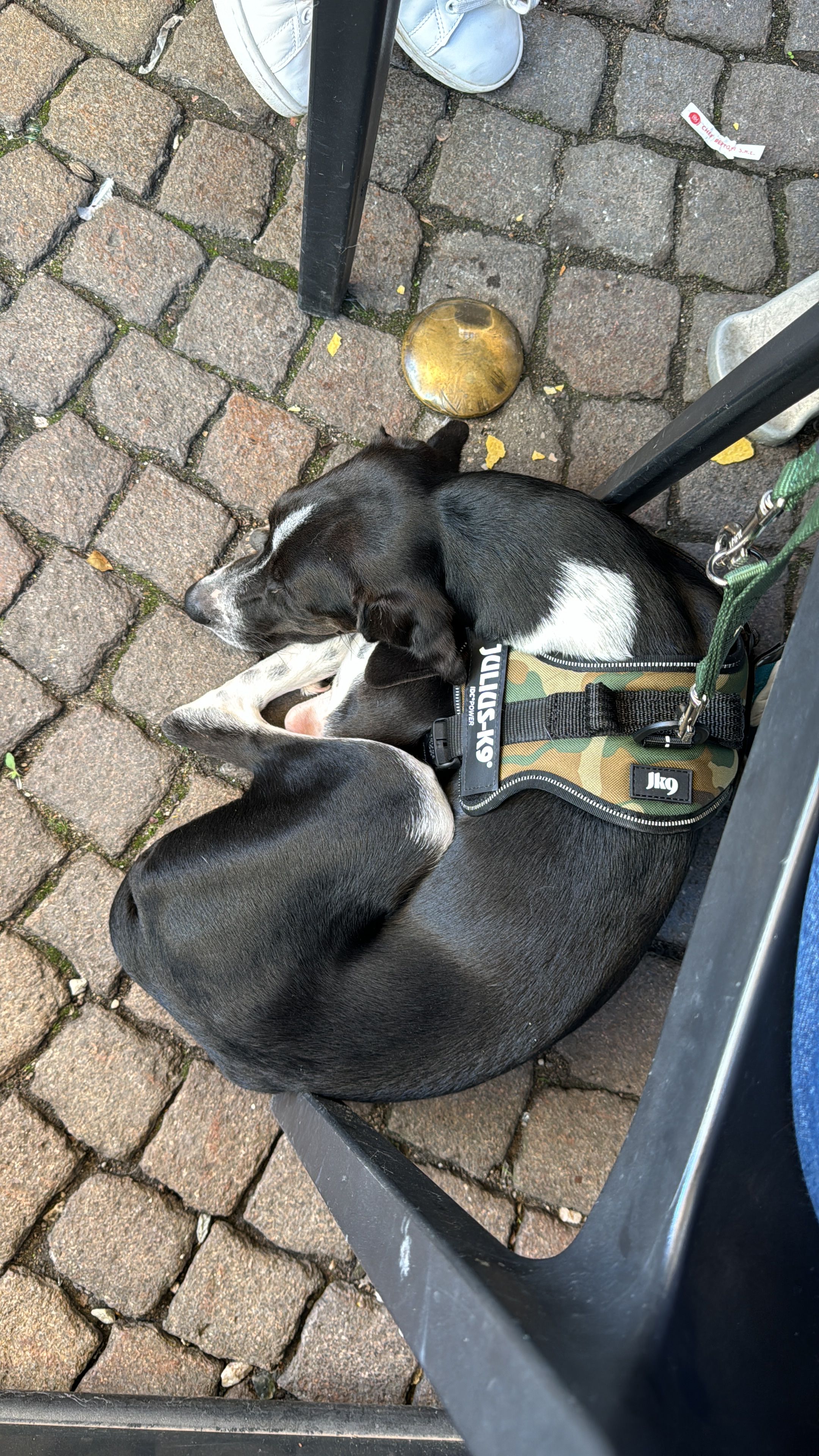image-5