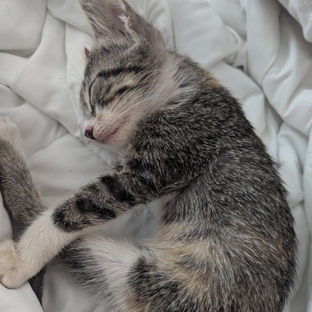 Mia