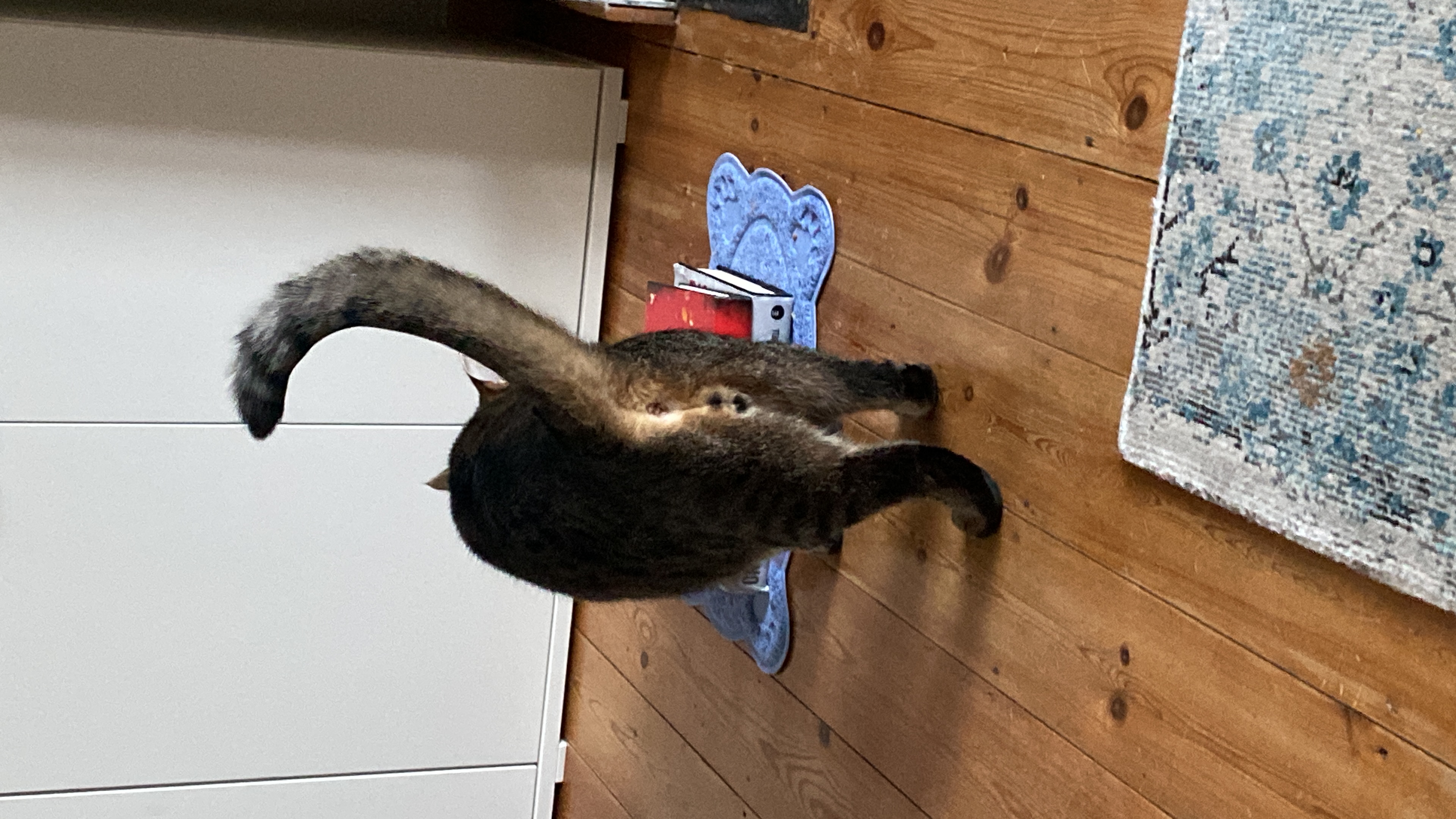image-16