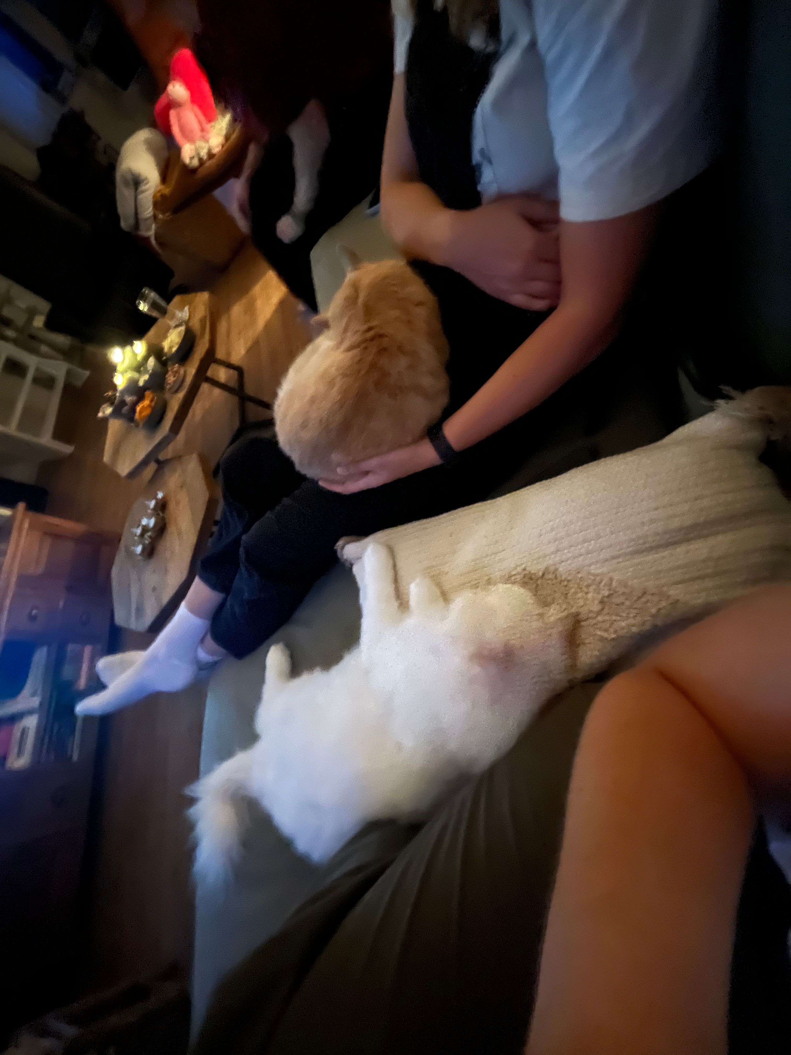 image-15