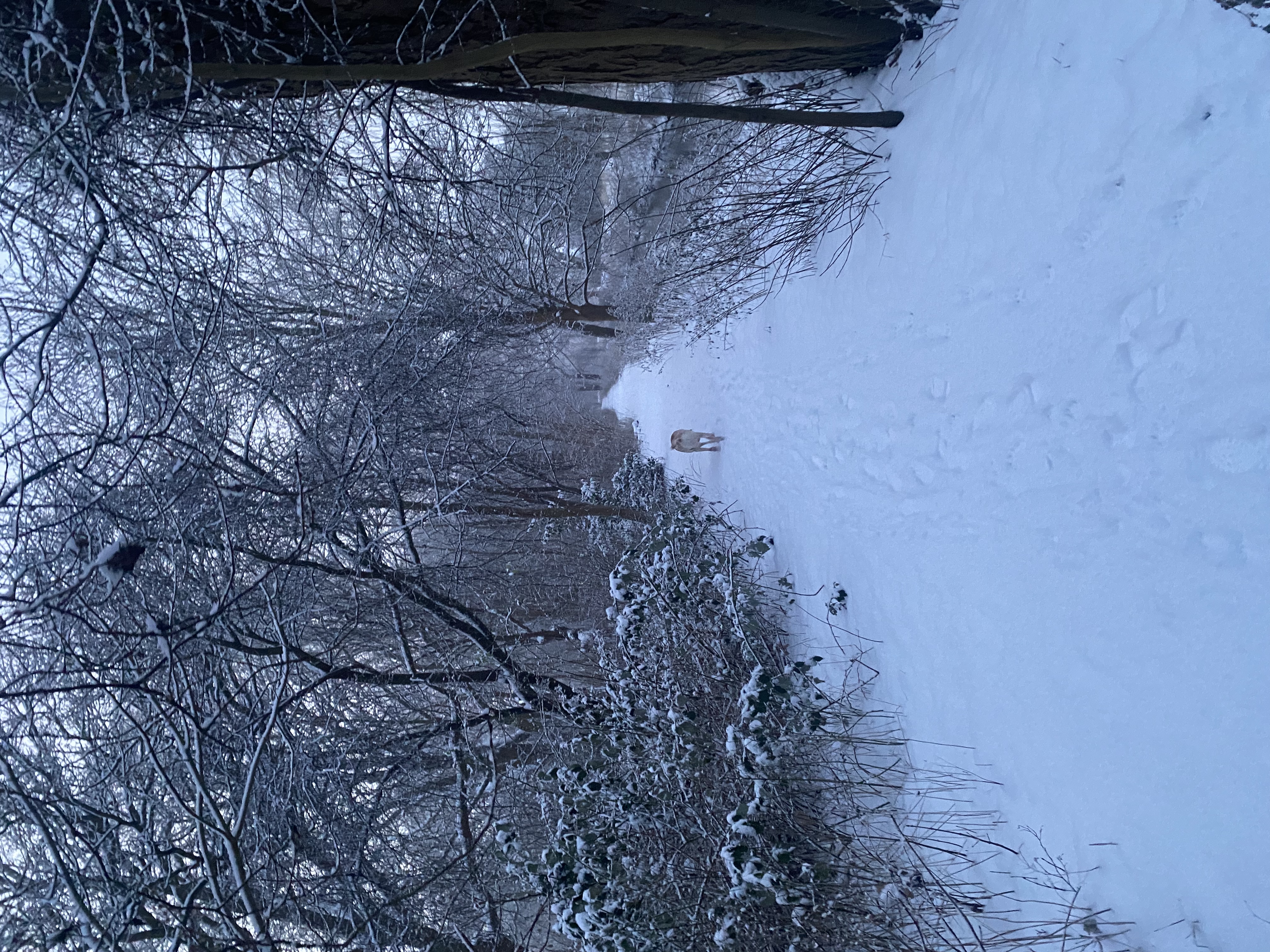 image-16