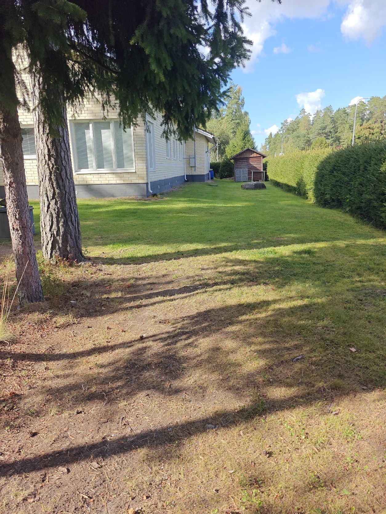 image-18