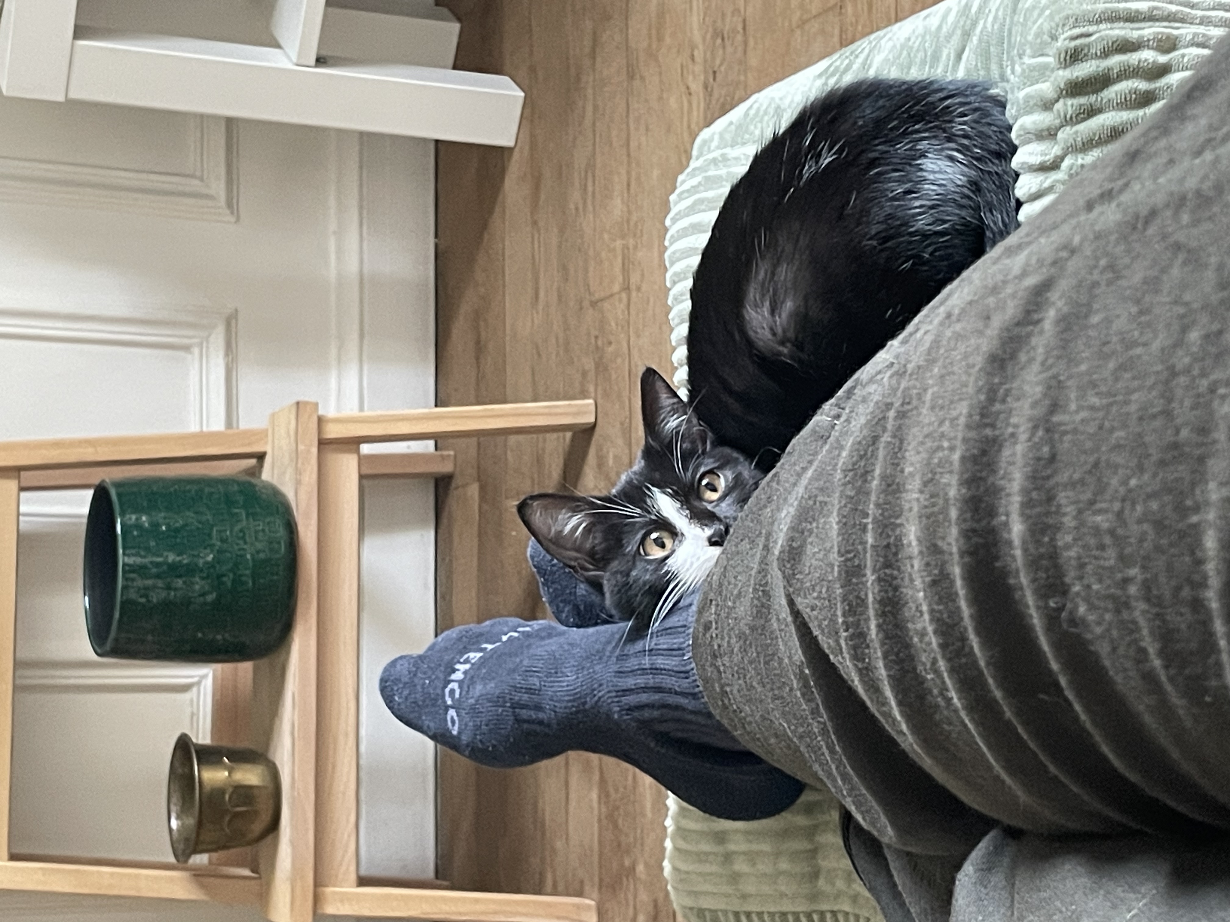 image-6
