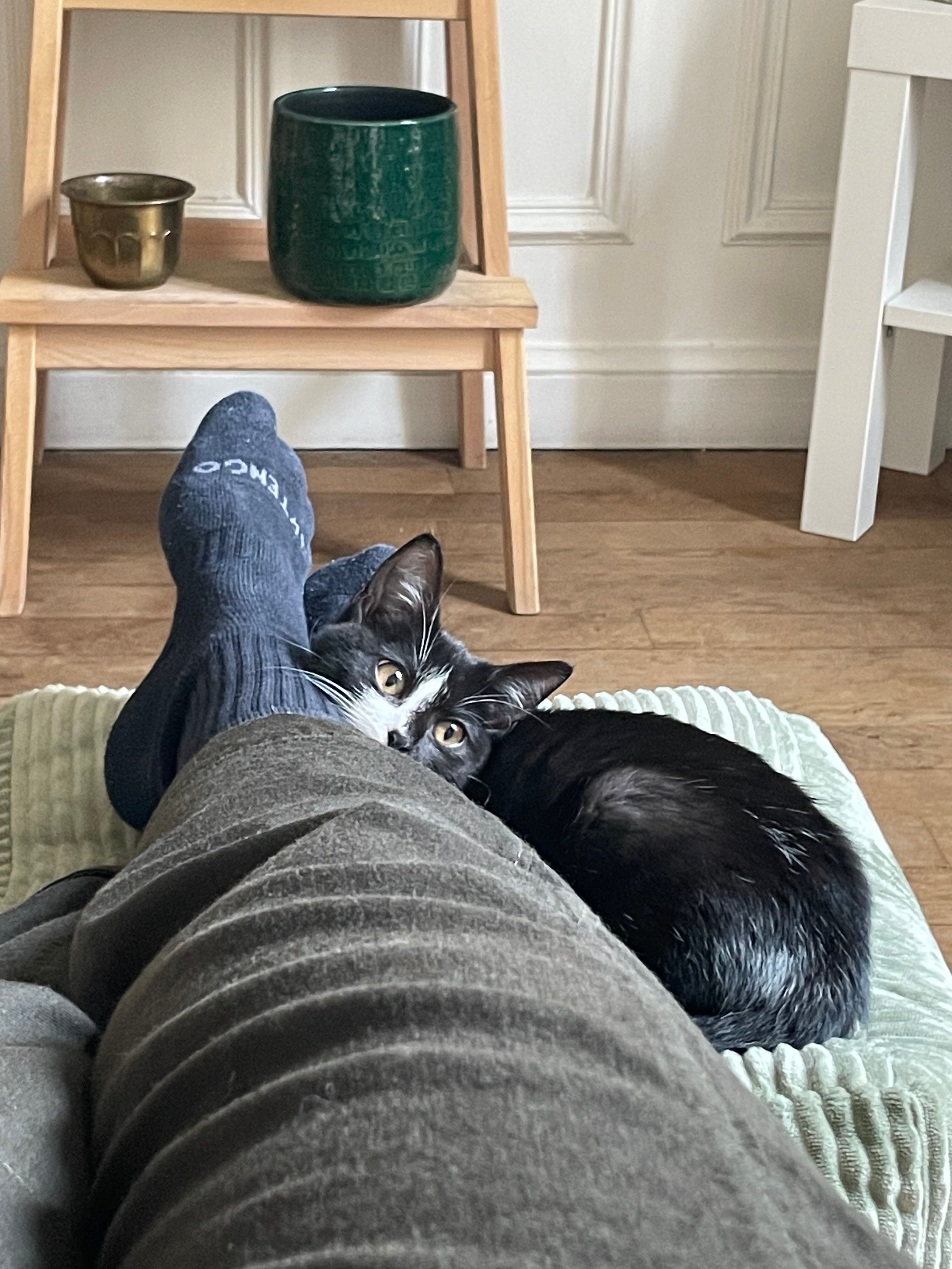image-6