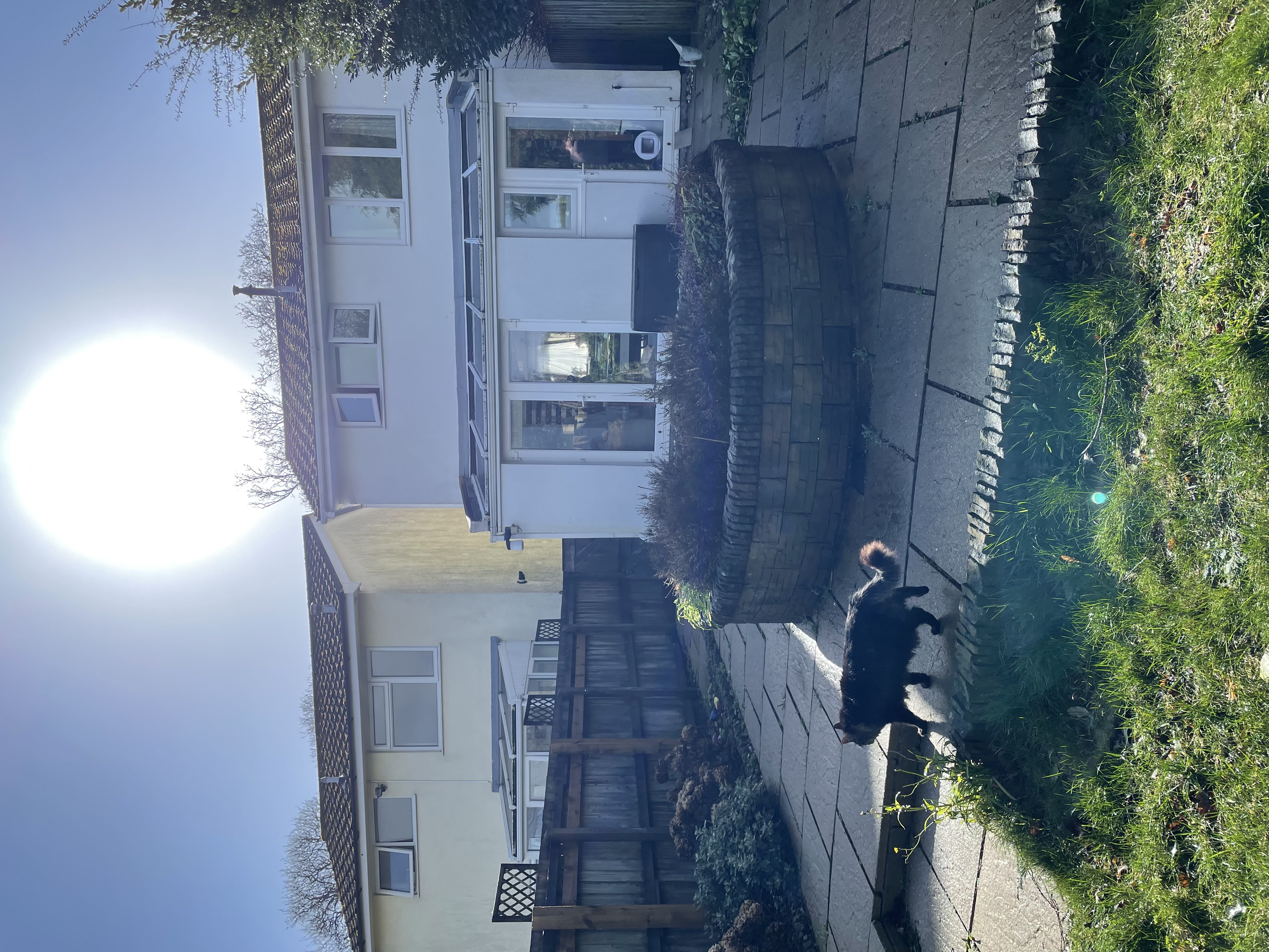 image-18