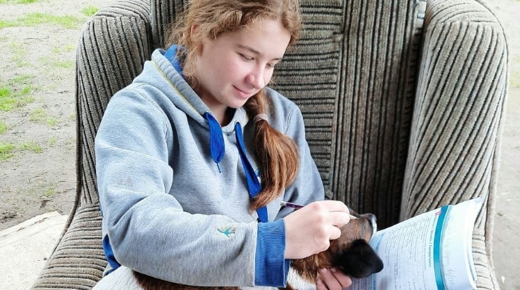 image-6