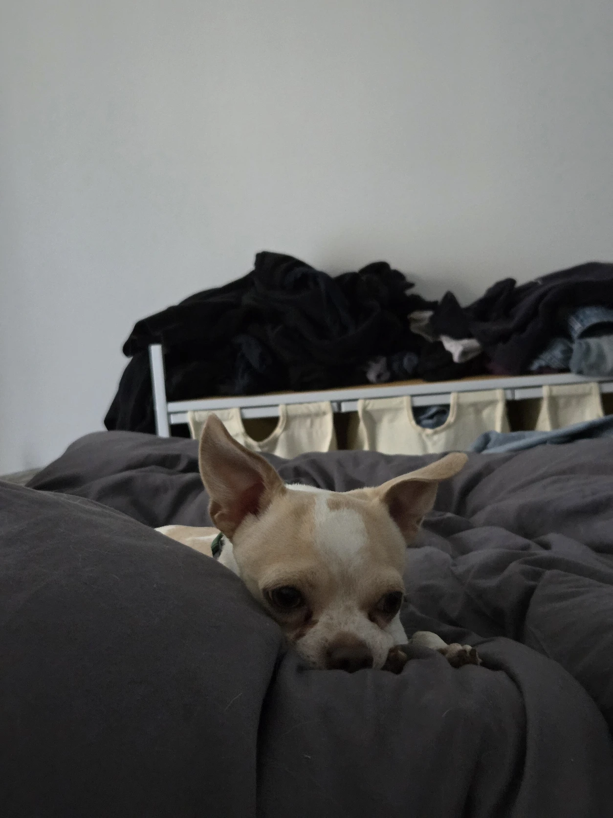 image-18