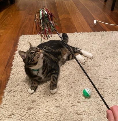 image-9