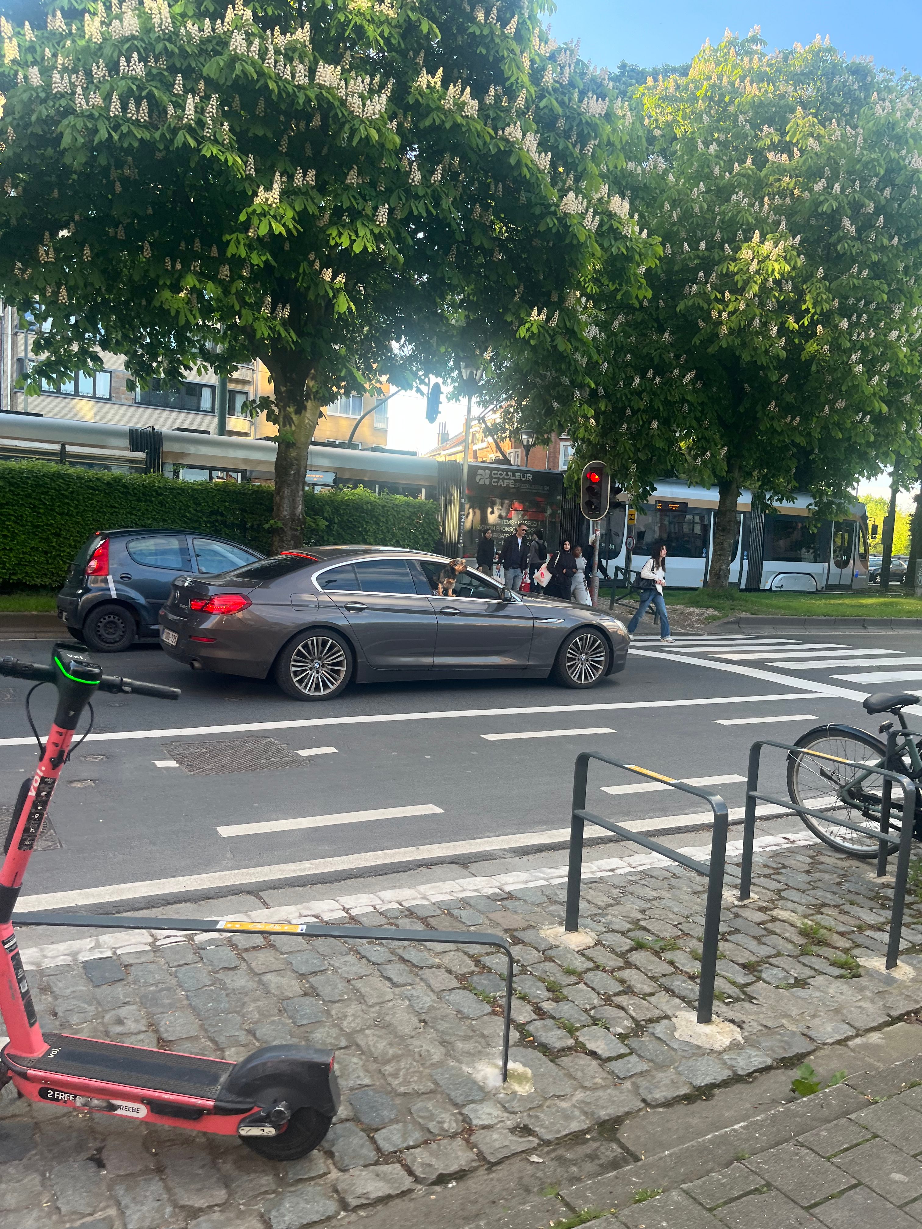 image-18