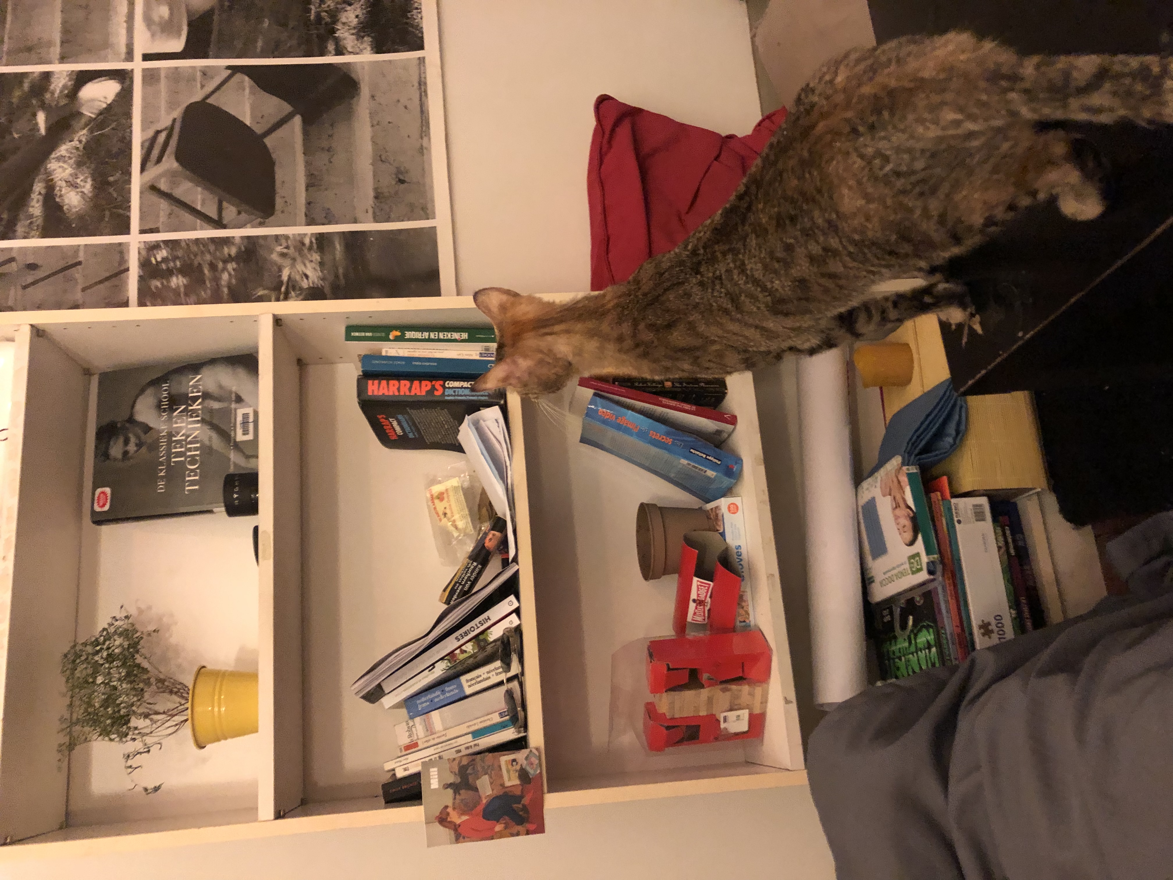 image-13