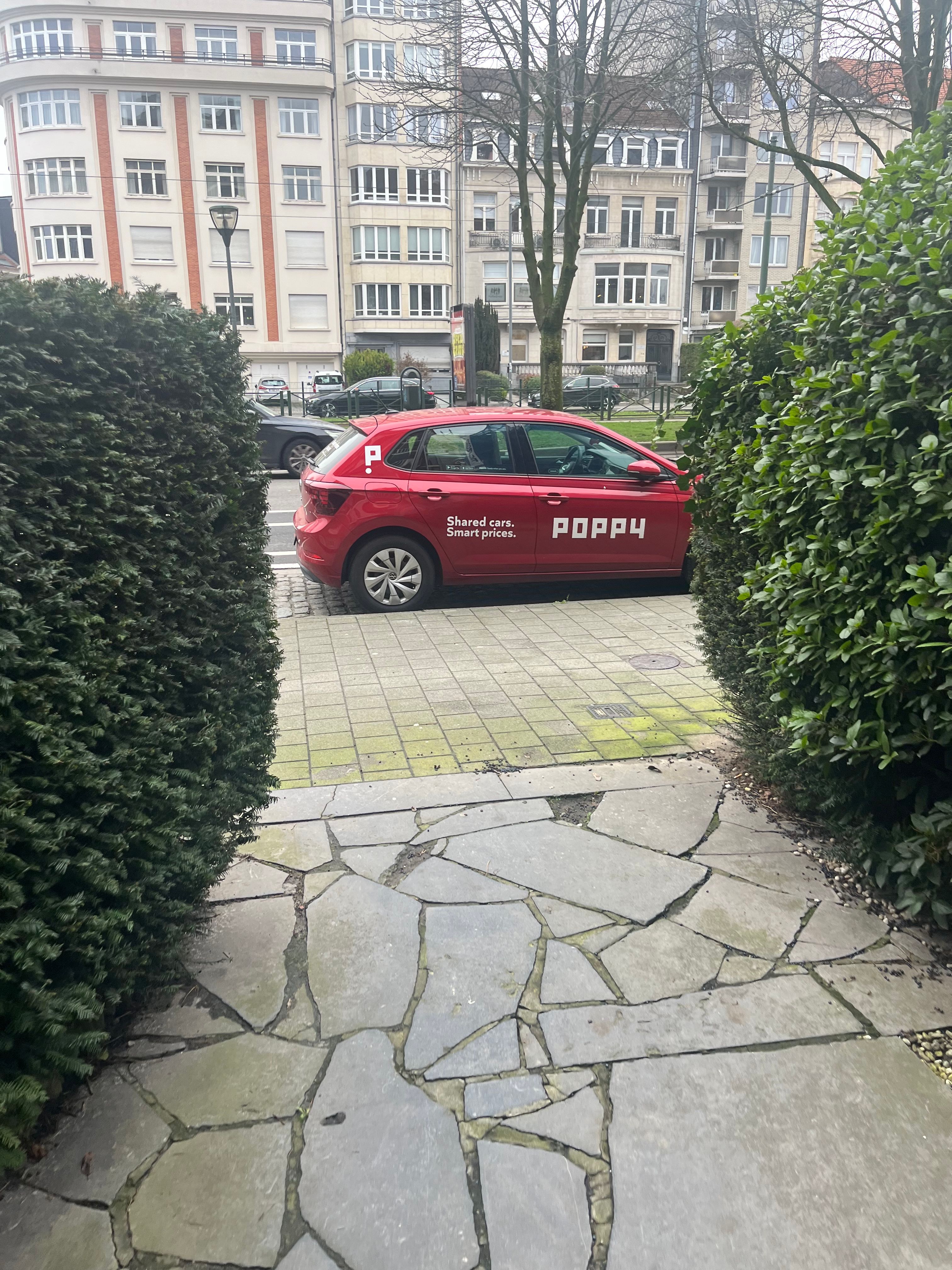 image-19