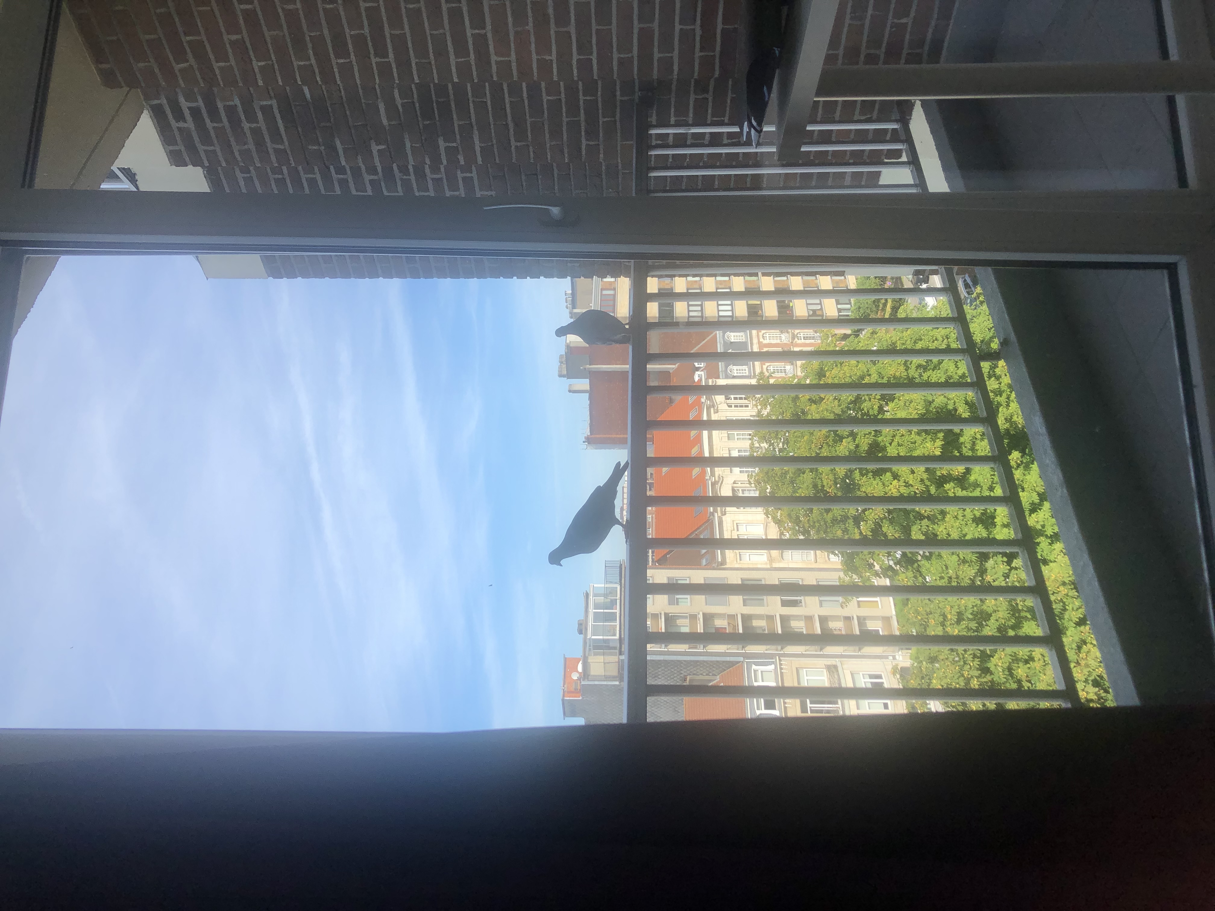 image-16
