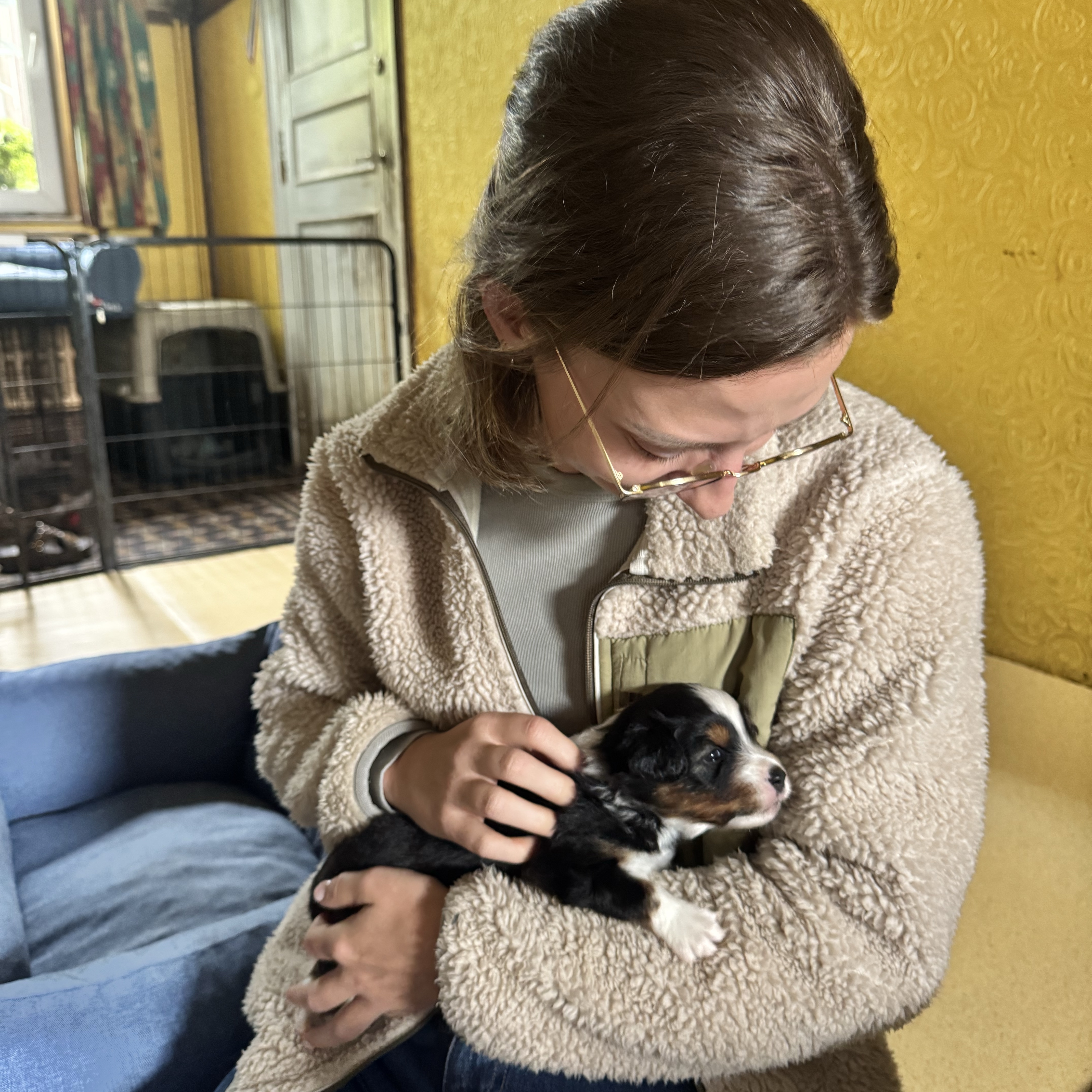 Puppy