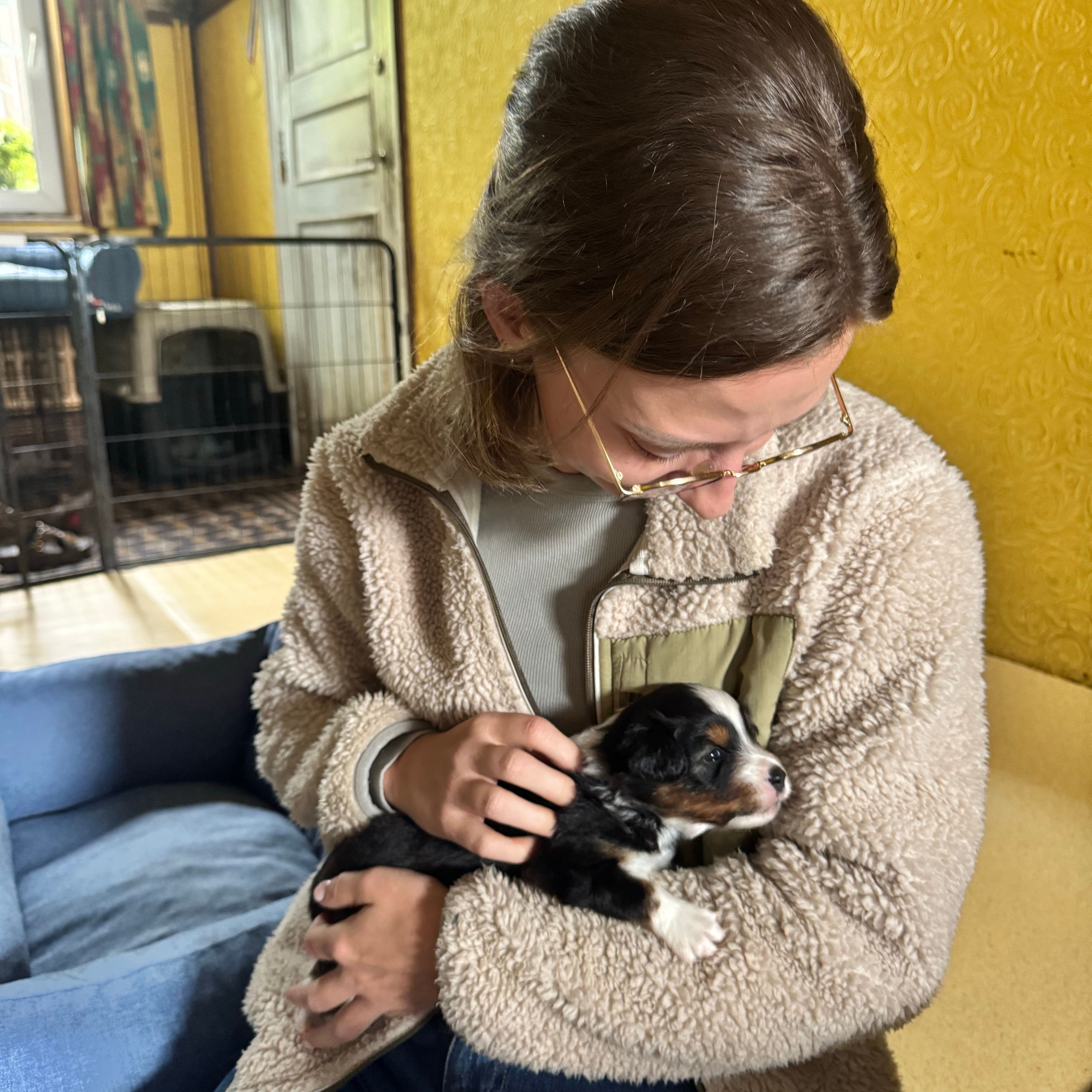 Puppy