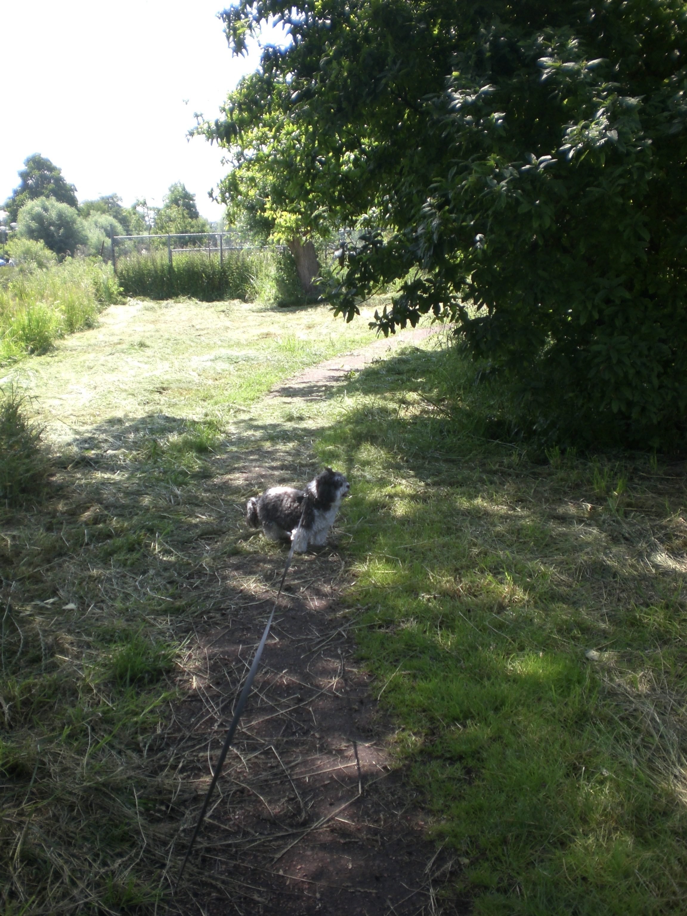 image-3