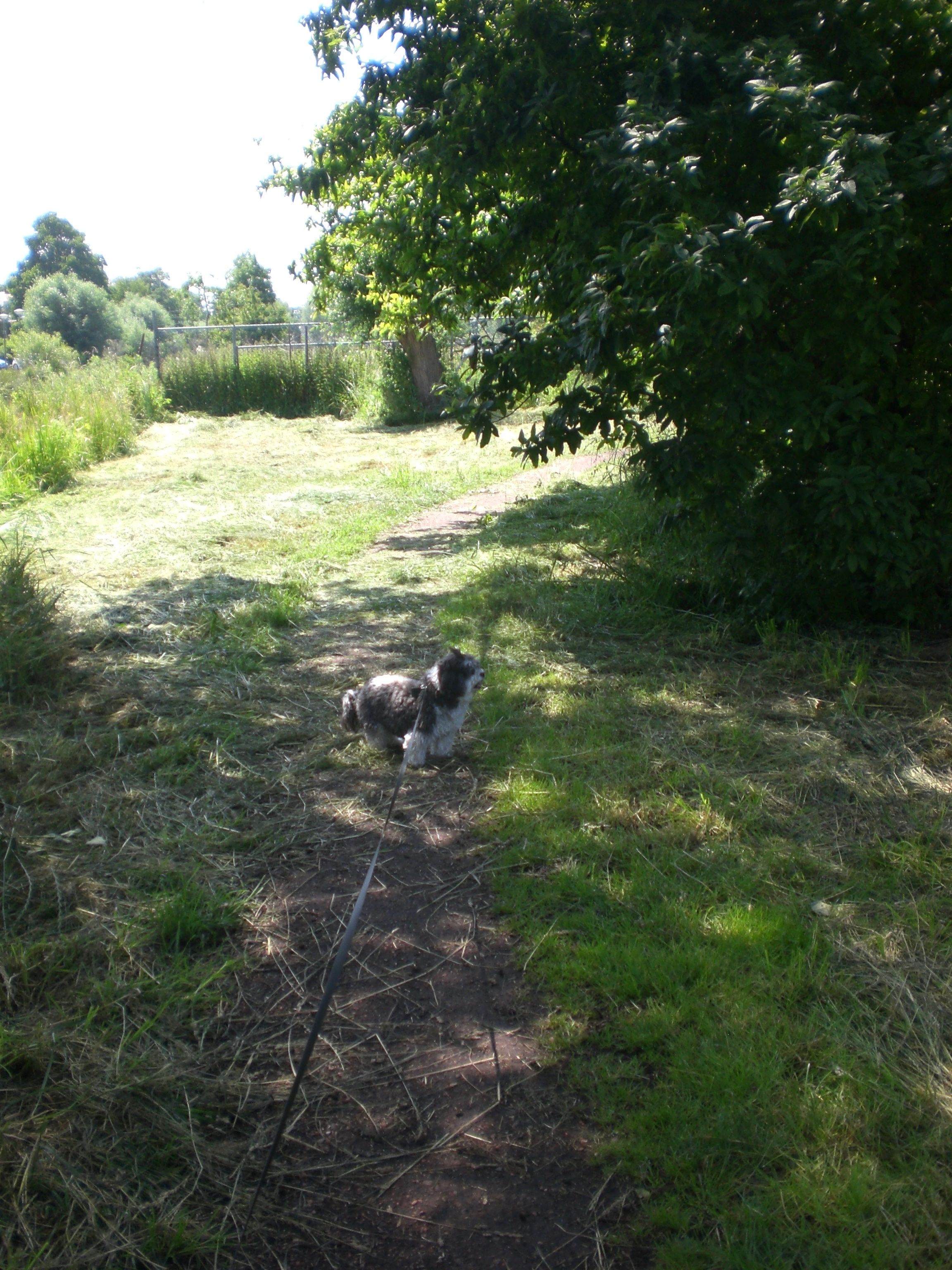 image-3