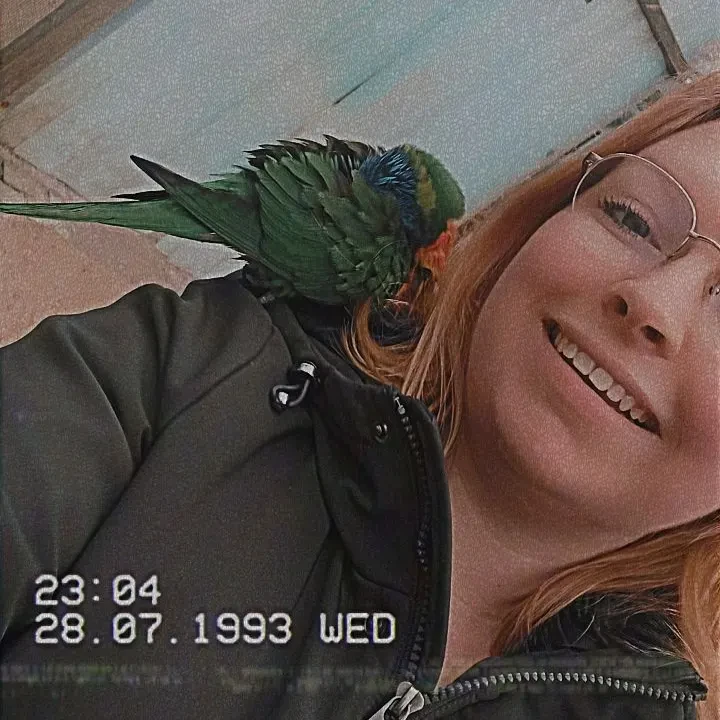 image-8
