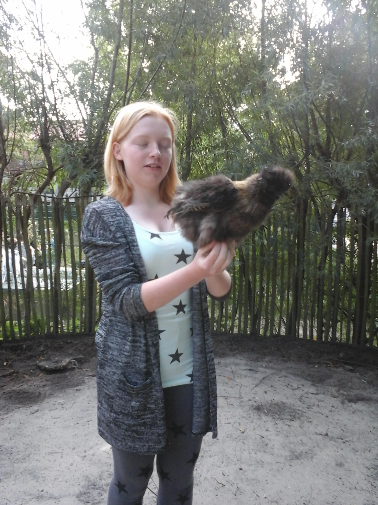 image-5