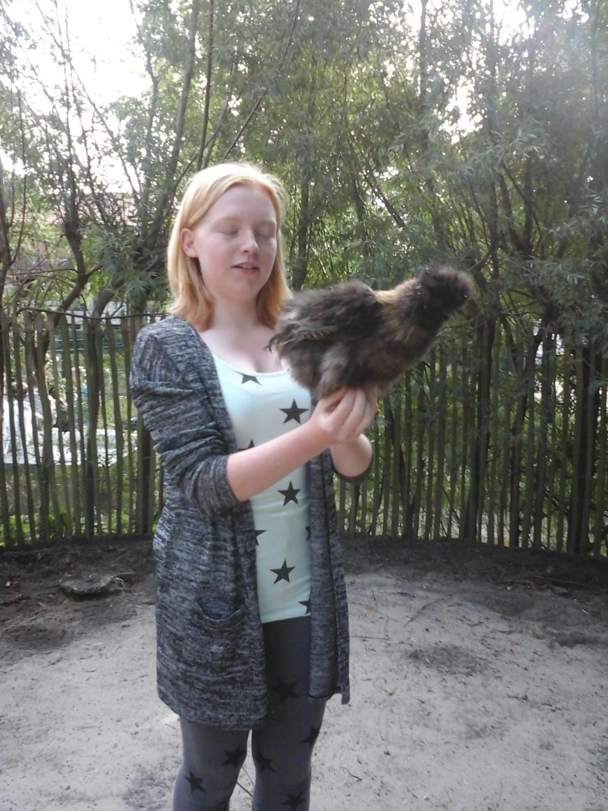 image-5