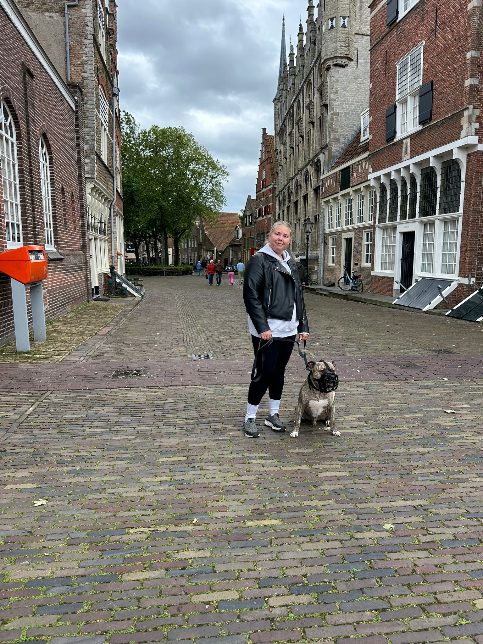 image-5