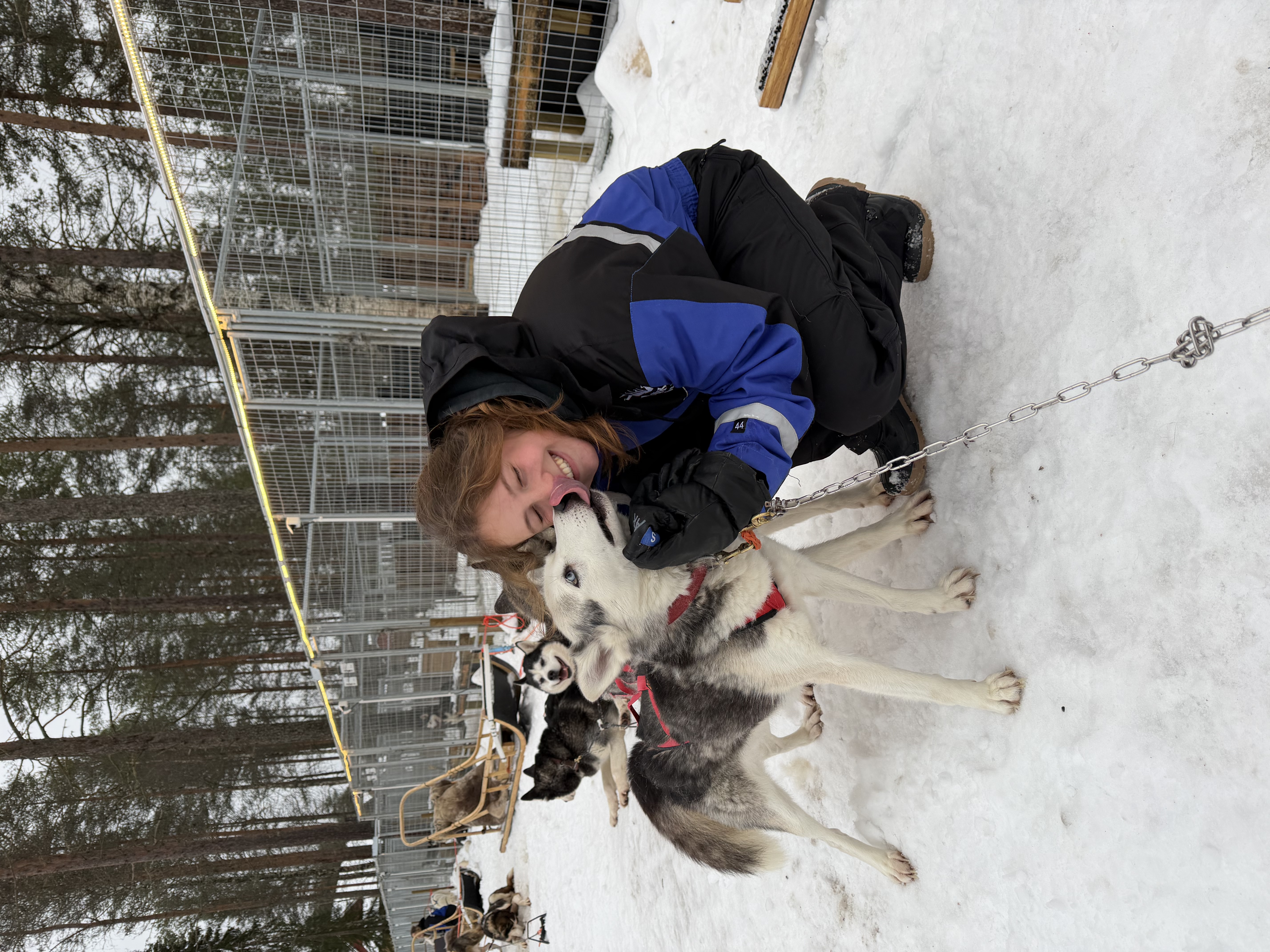 image-8