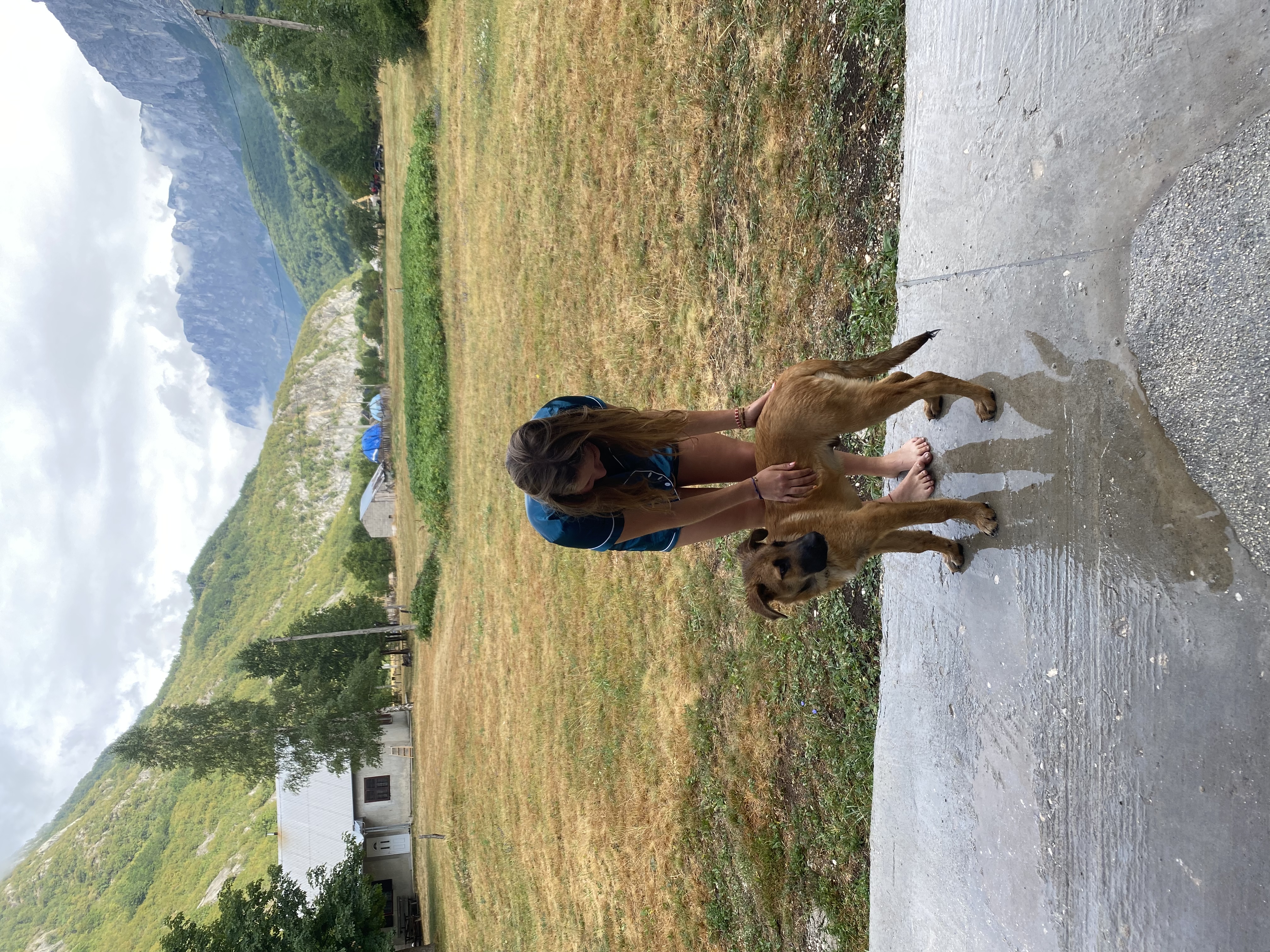 image-9