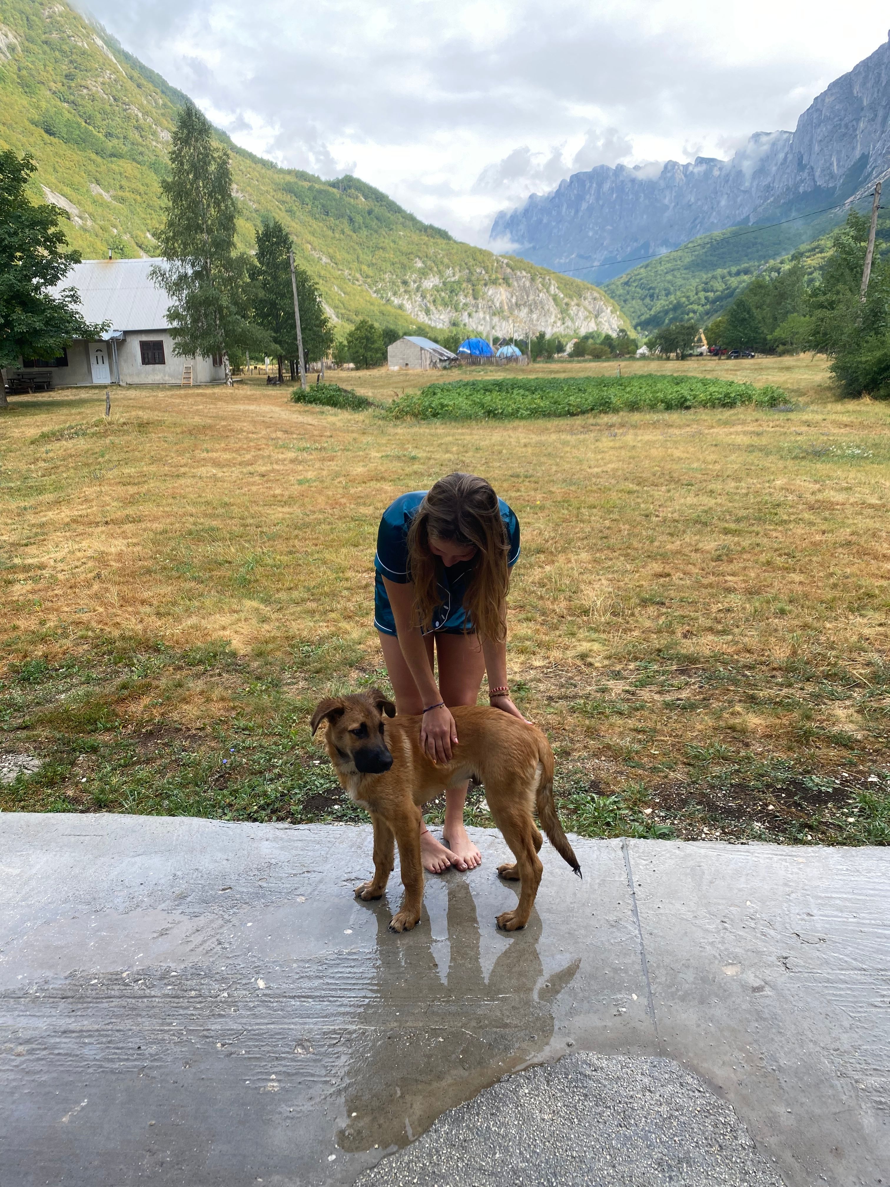 image-9