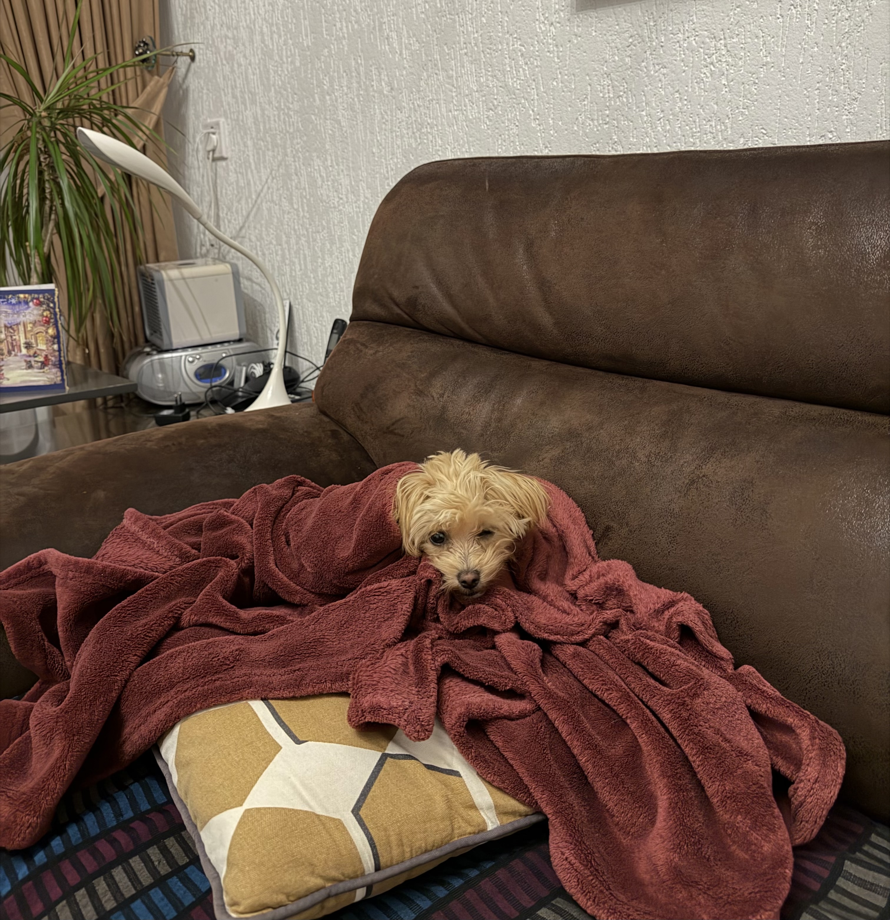 image-16