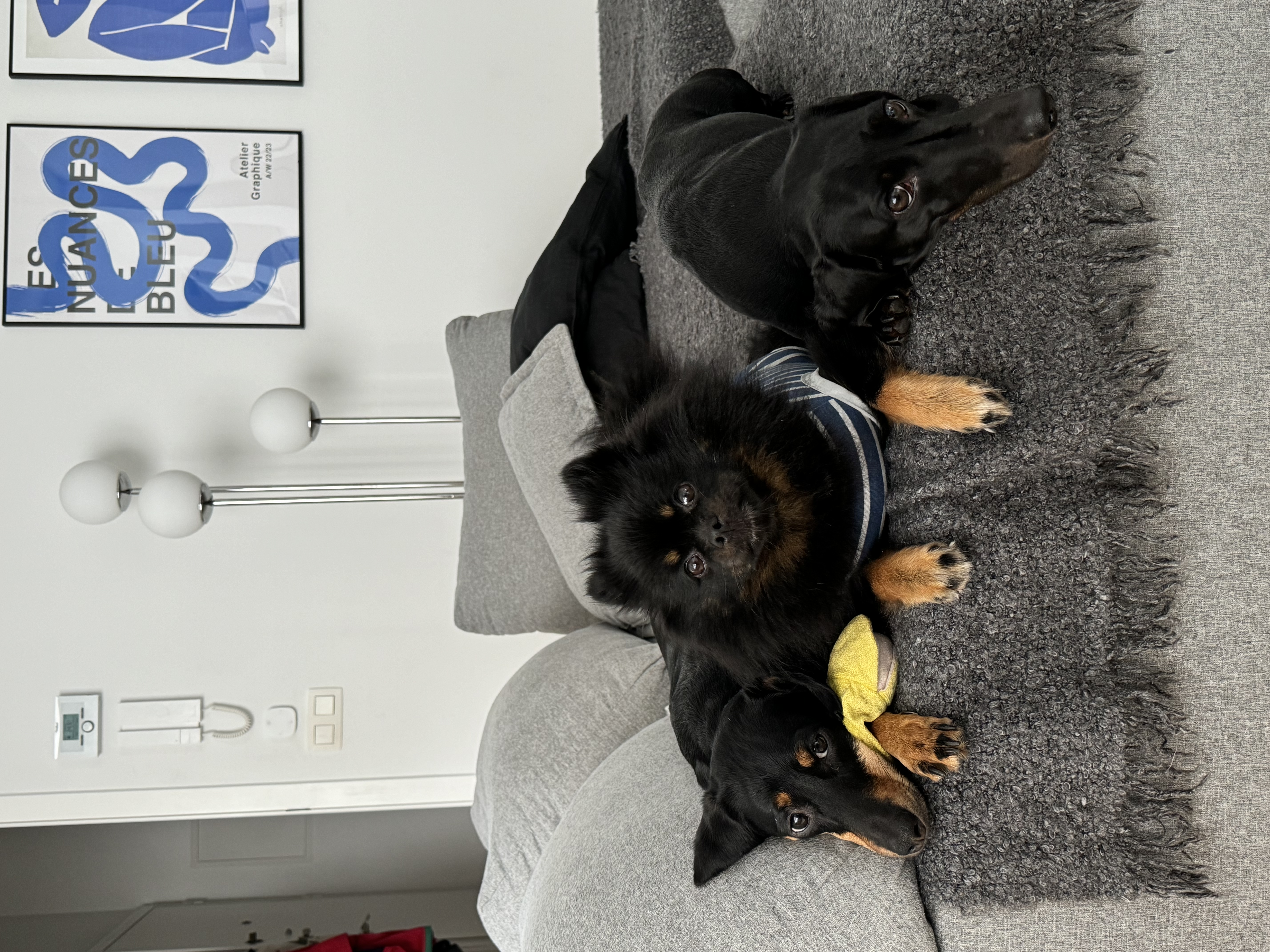 image-9