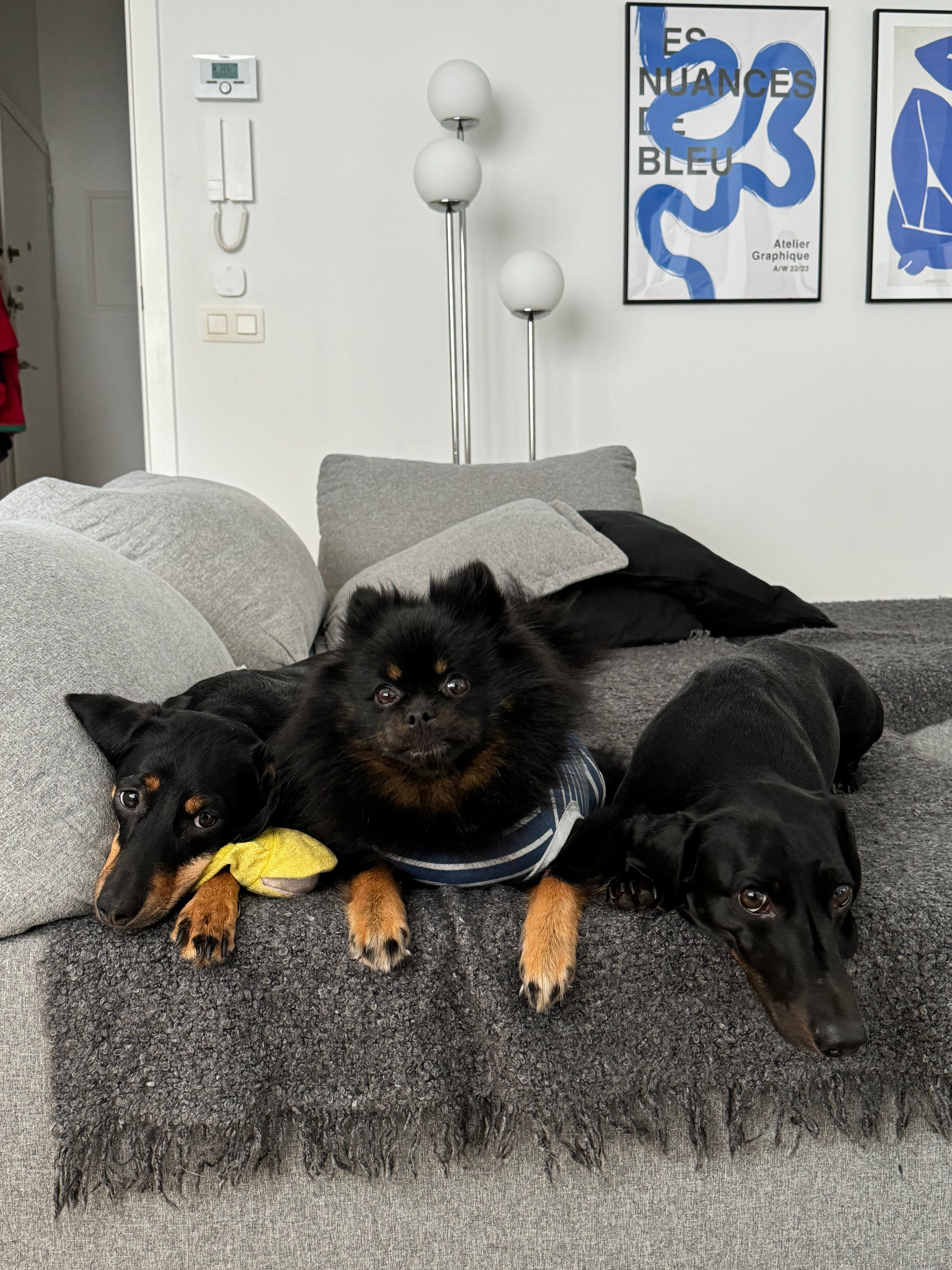 image-9