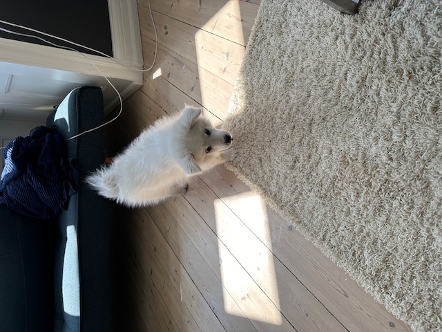 image-21
