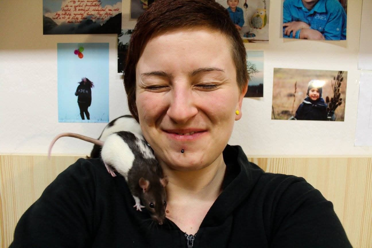 image-6