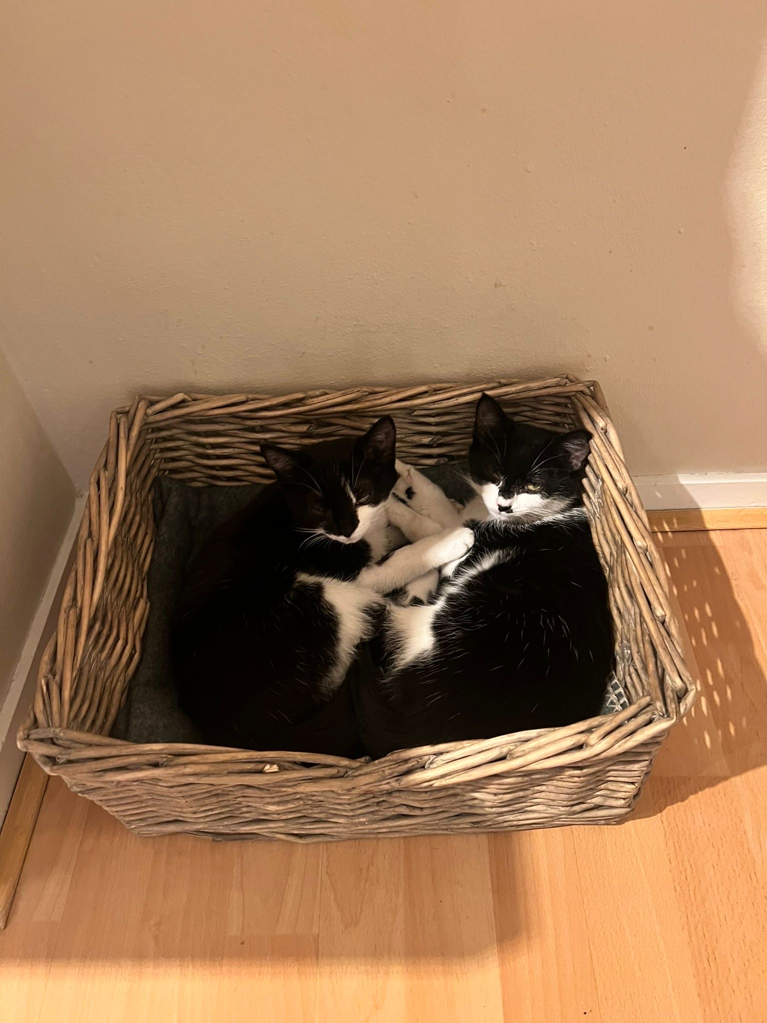 image-4