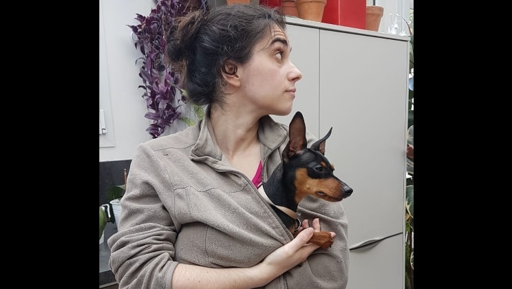 image-8