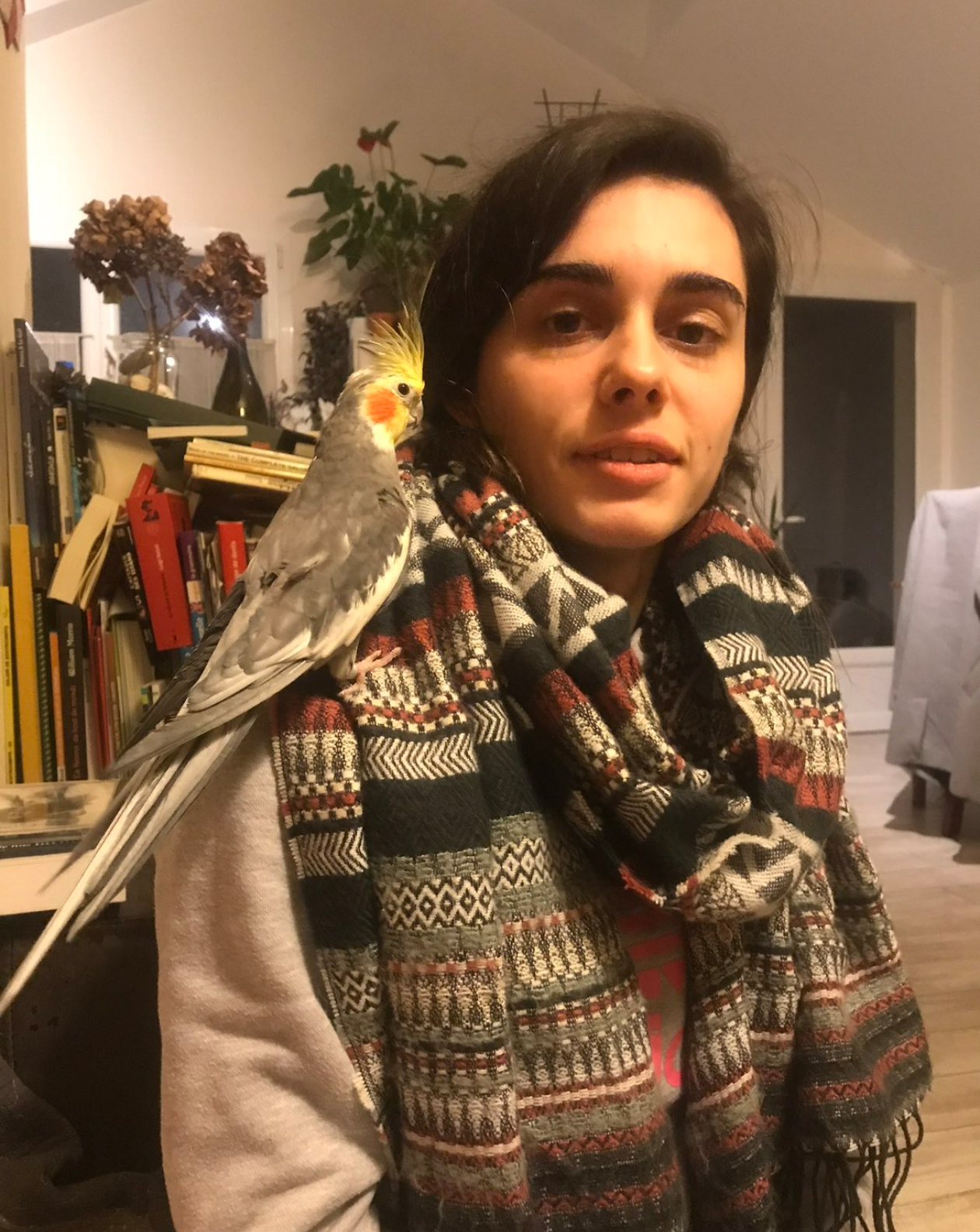 image-5