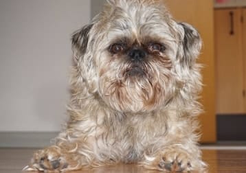 Bilbo