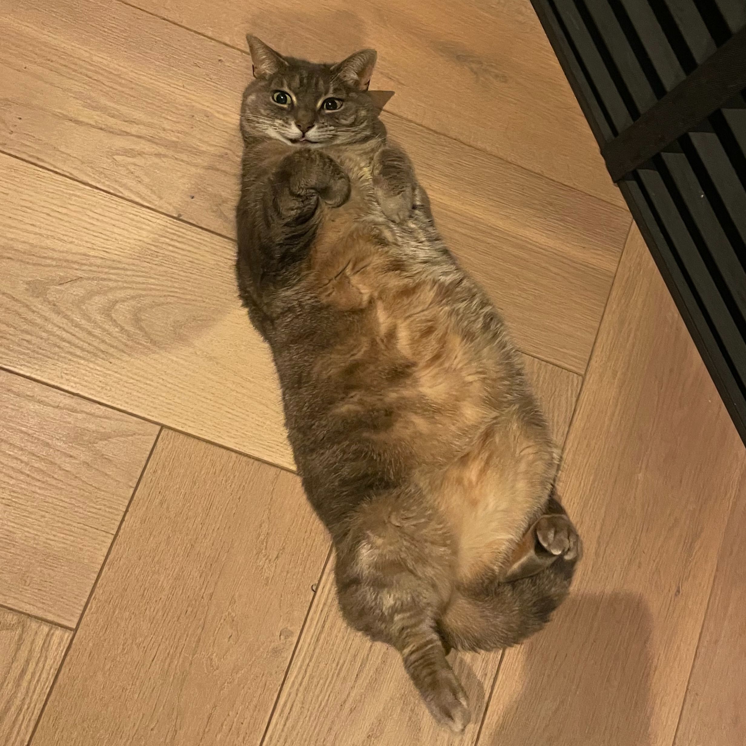 Sok